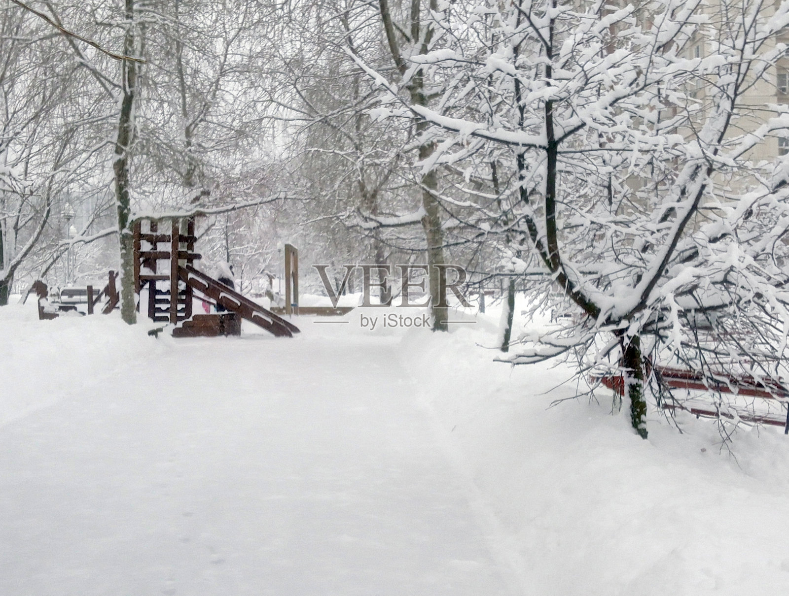 雪后的城市公园白天照片摄影图片