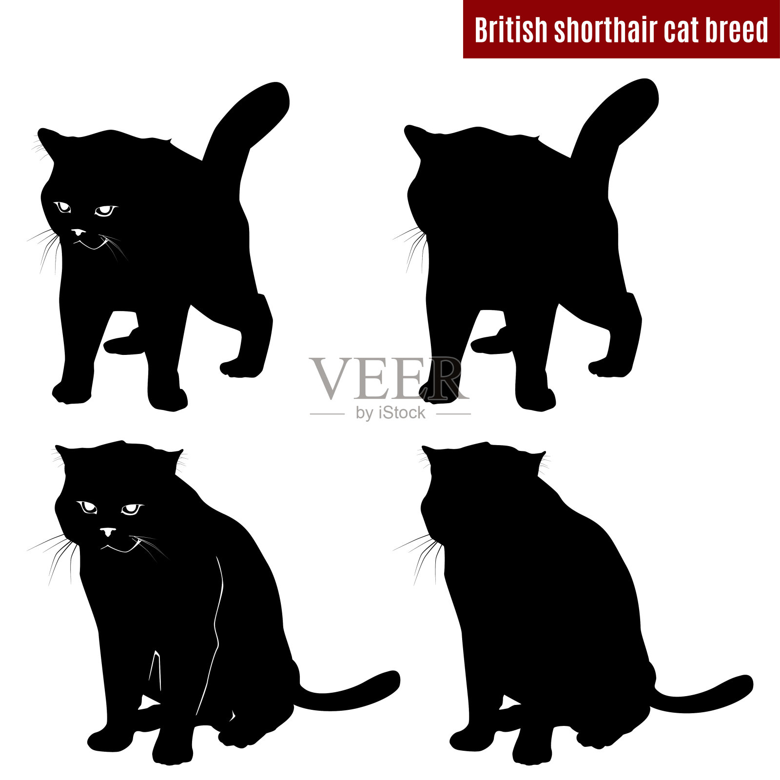 白色背景上的猫黑色轮廓,矢量插图插画图片素材