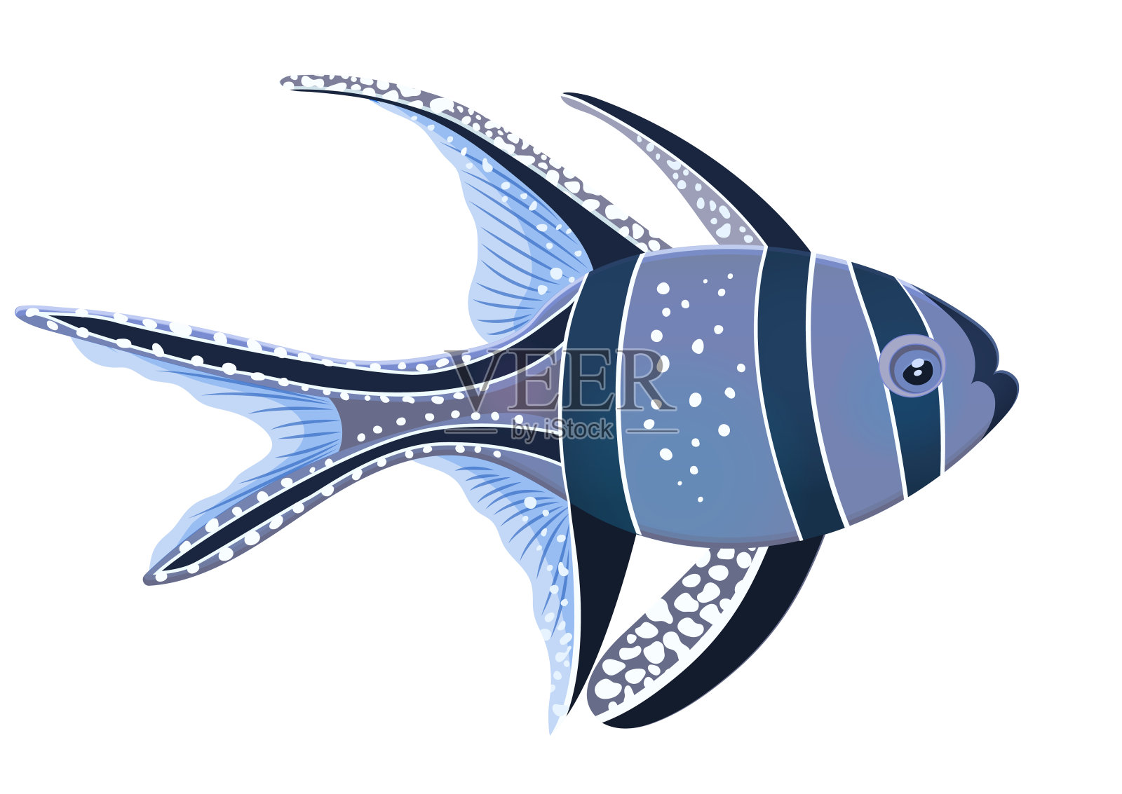 帮盖鱼,平面卡通写实画,手绘海洋动物,海洋人物。可爱的彩色蓝紫黑与白色斑点,孤立在白色的背景。向量插画图片素材