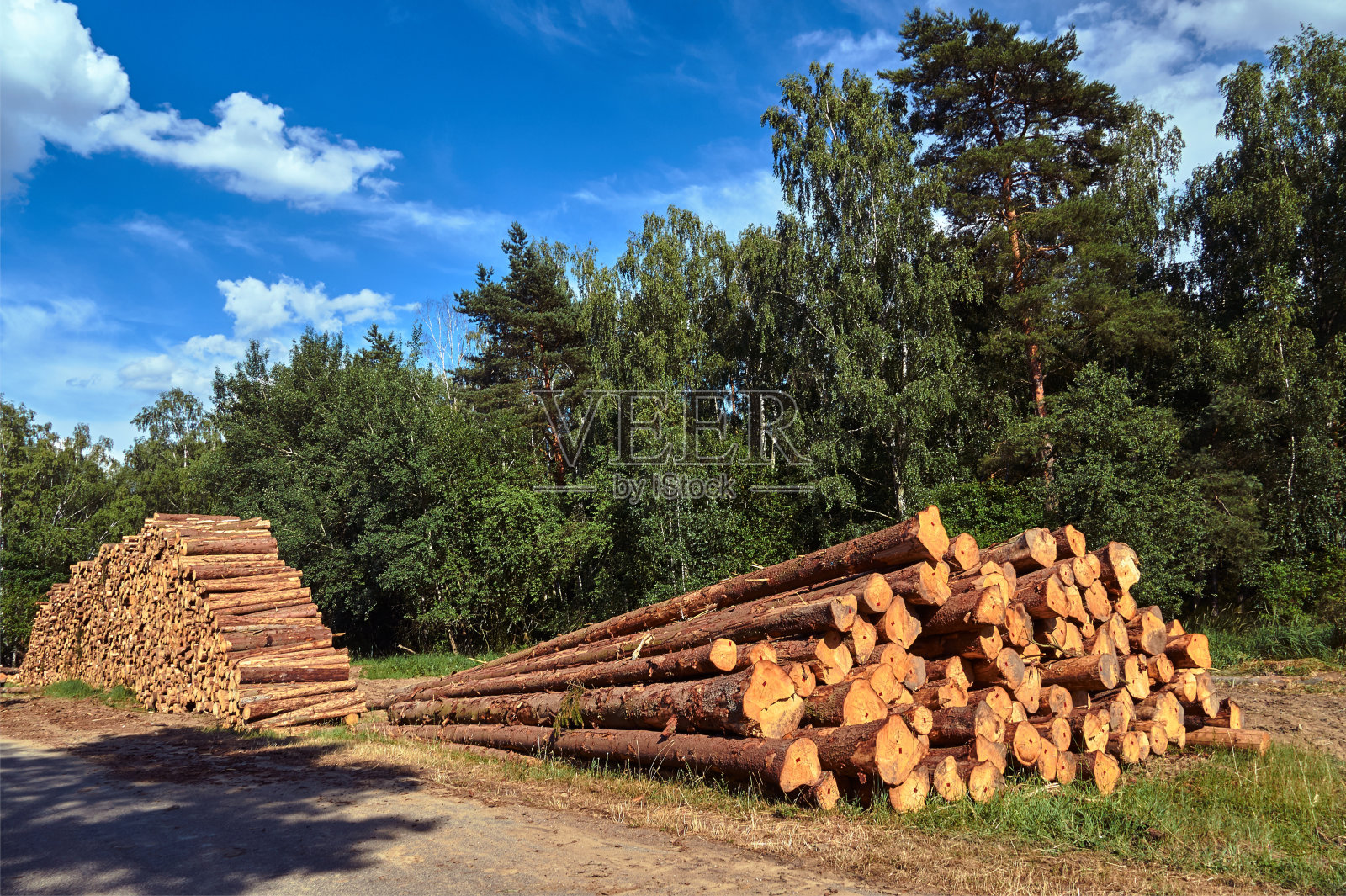 森林中土路旁的木质庭院照片摄影图片