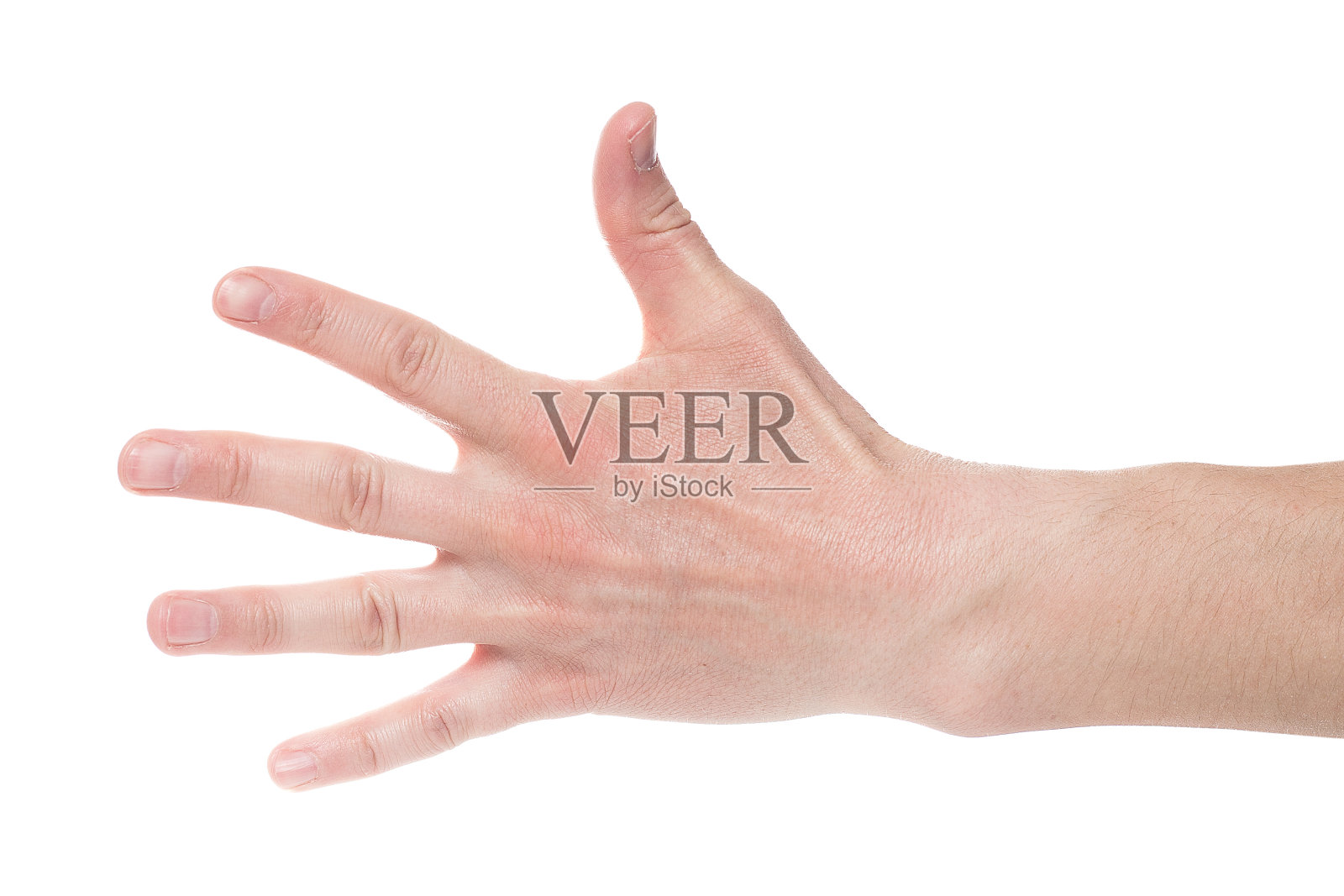 男子在白色背景上展示五号,特写。照片摄影图片