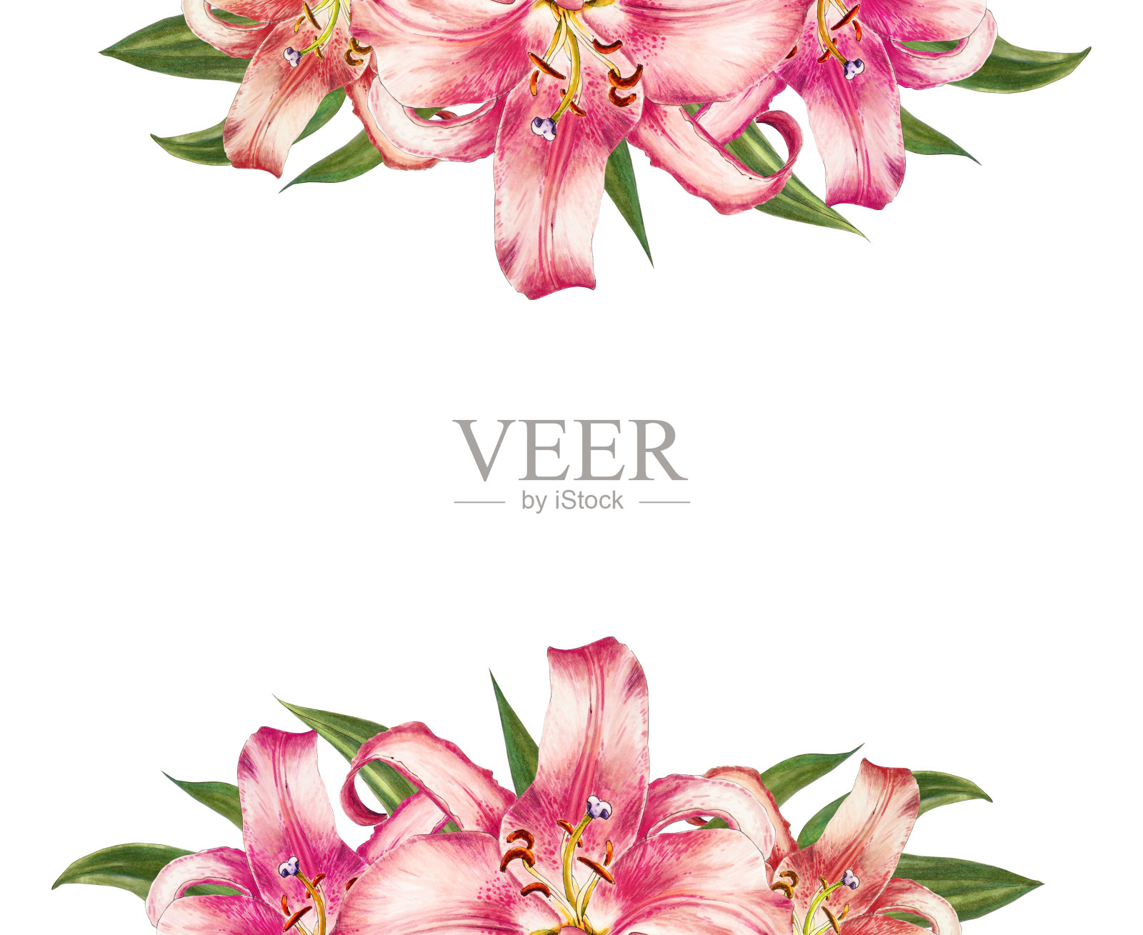 美丽的粉红色百合边框。束鲜花。印花。标记图。插画图片素材