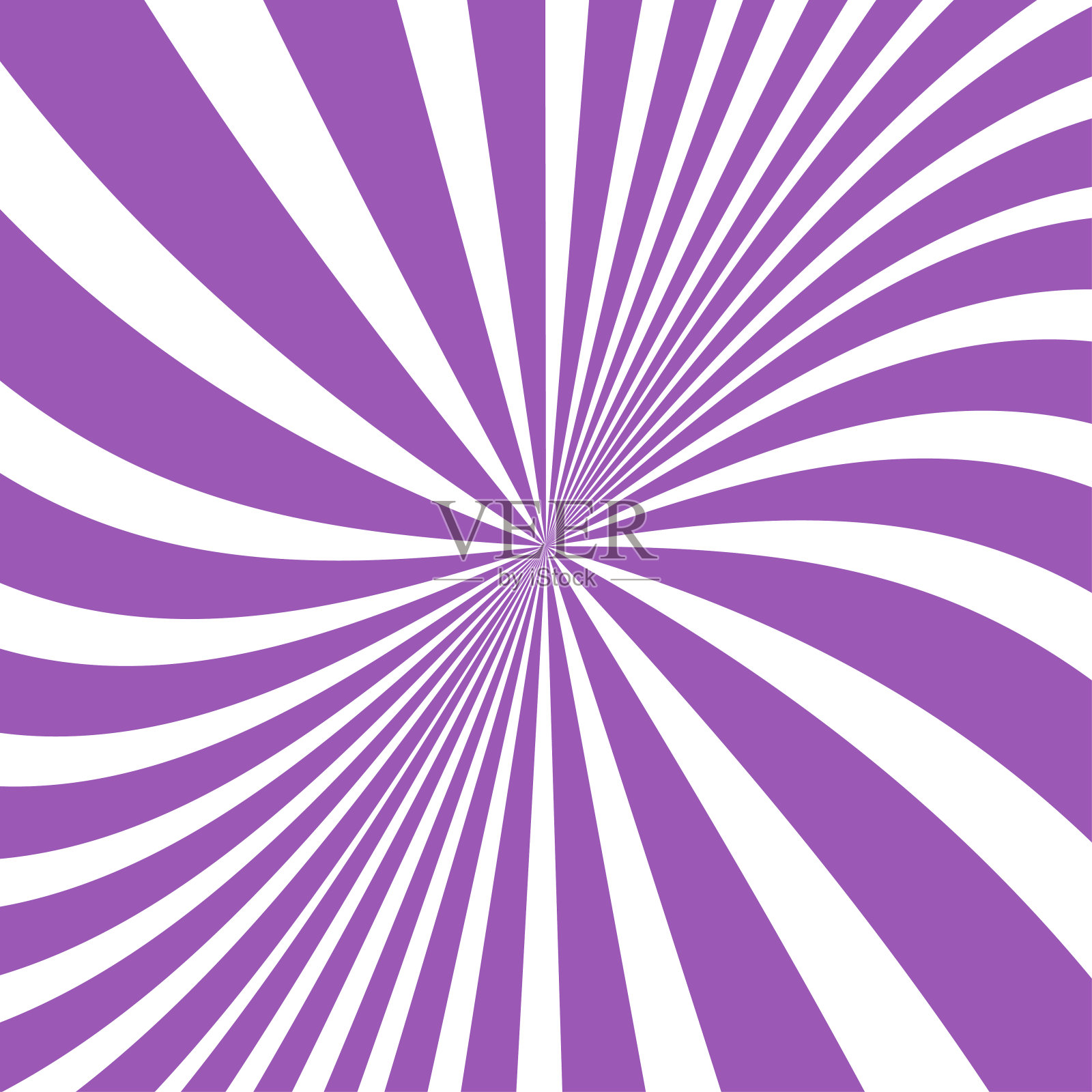 阳光背景。螺旋形的太阳射线。太阳发出紫罗兰色的光。向量插画图片素材