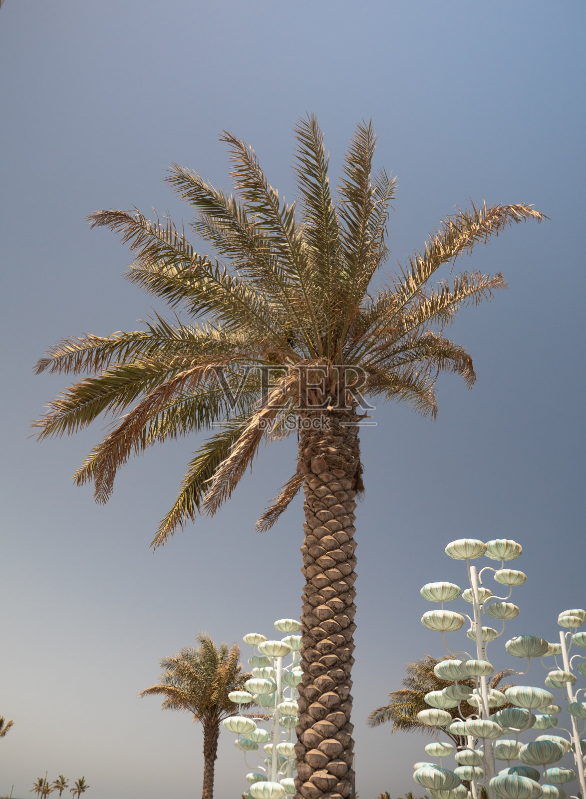 吉达滨海路,沙特阿拉伯西部照片摄影图片