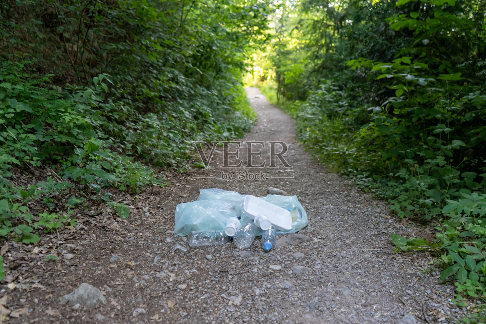 森林中的垃圾照片摄影图片