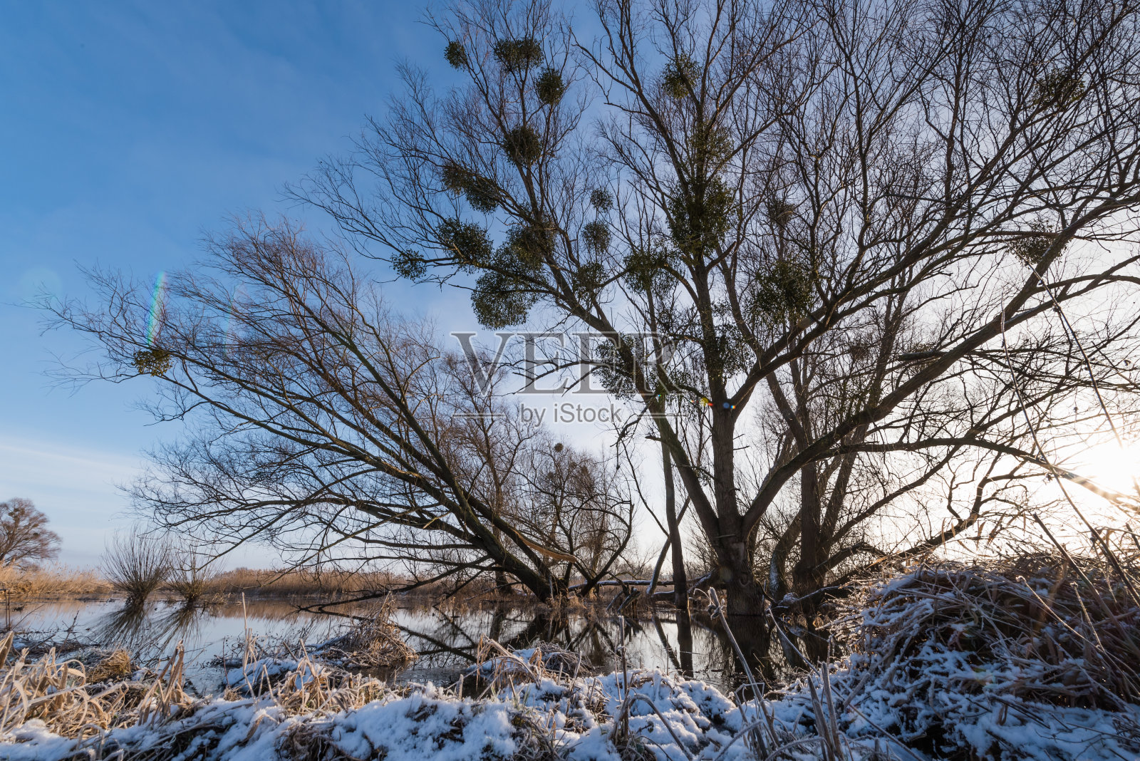 下奥得谷国家公园的冬天照片摄影图片