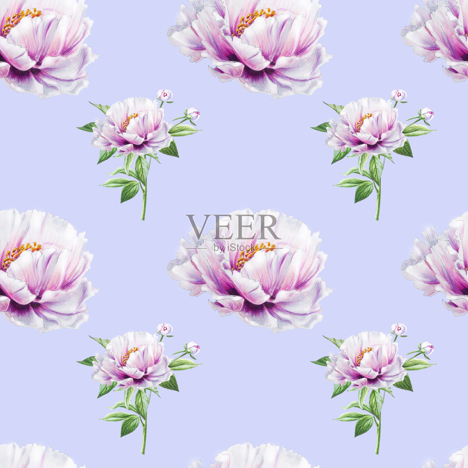 美丽的白牡丹无缝图案。束鲜花。花卉无休止的纹理。标记图。插画图片素材