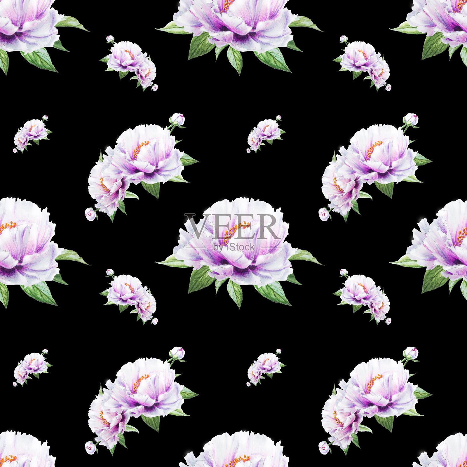 美丽的白牡丹无缝图案。束鲜花。花卉无休止的纹理。标记图。插画图片素材