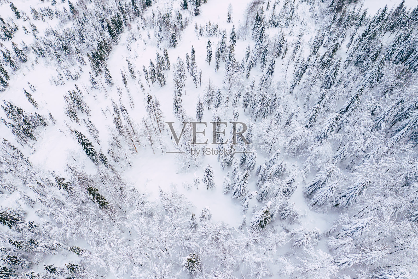 山上积雪覆盖的松林,从上到下鸟瞰。冬天的风景。照片摄影图片