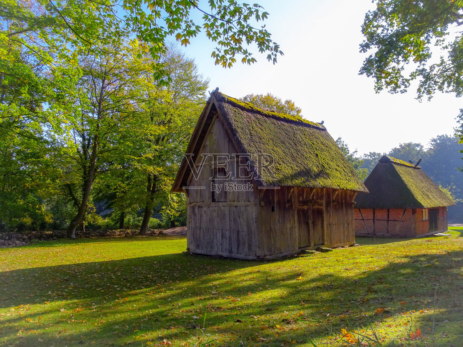 金色的秋天在Lüneburg荒地附近的安德罗照片摄影图片