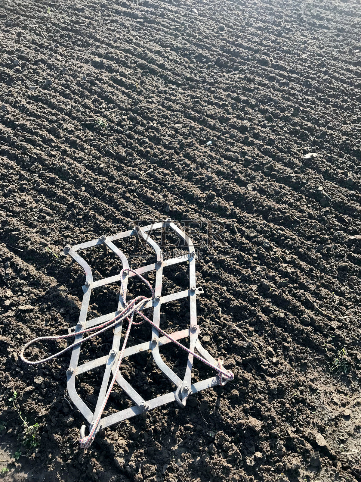 自然照片摄影图片