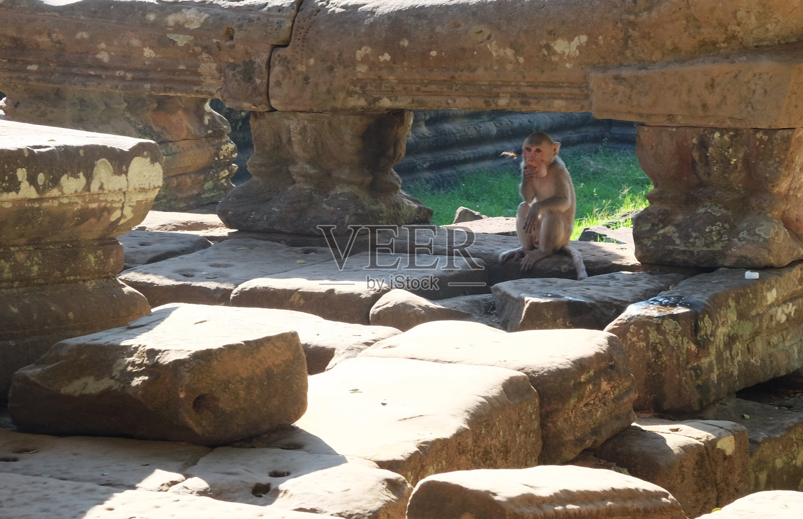 小猴子蹲在古老的废墟中吃东西。东南亚的古建筑遗址。大自然。照片摄影图片