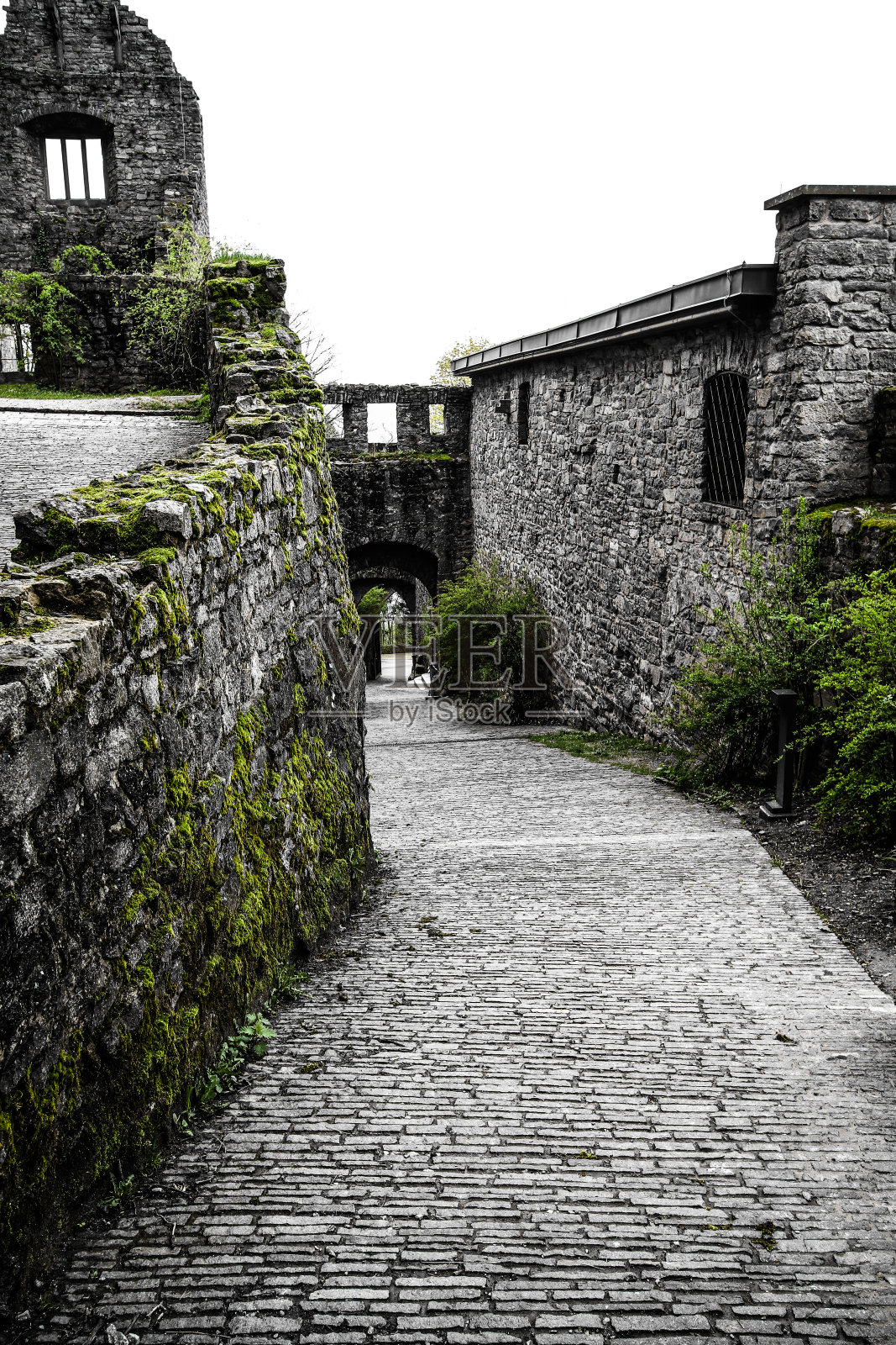 Altes schoss,巴登Württemberg,德国照片摄影图片