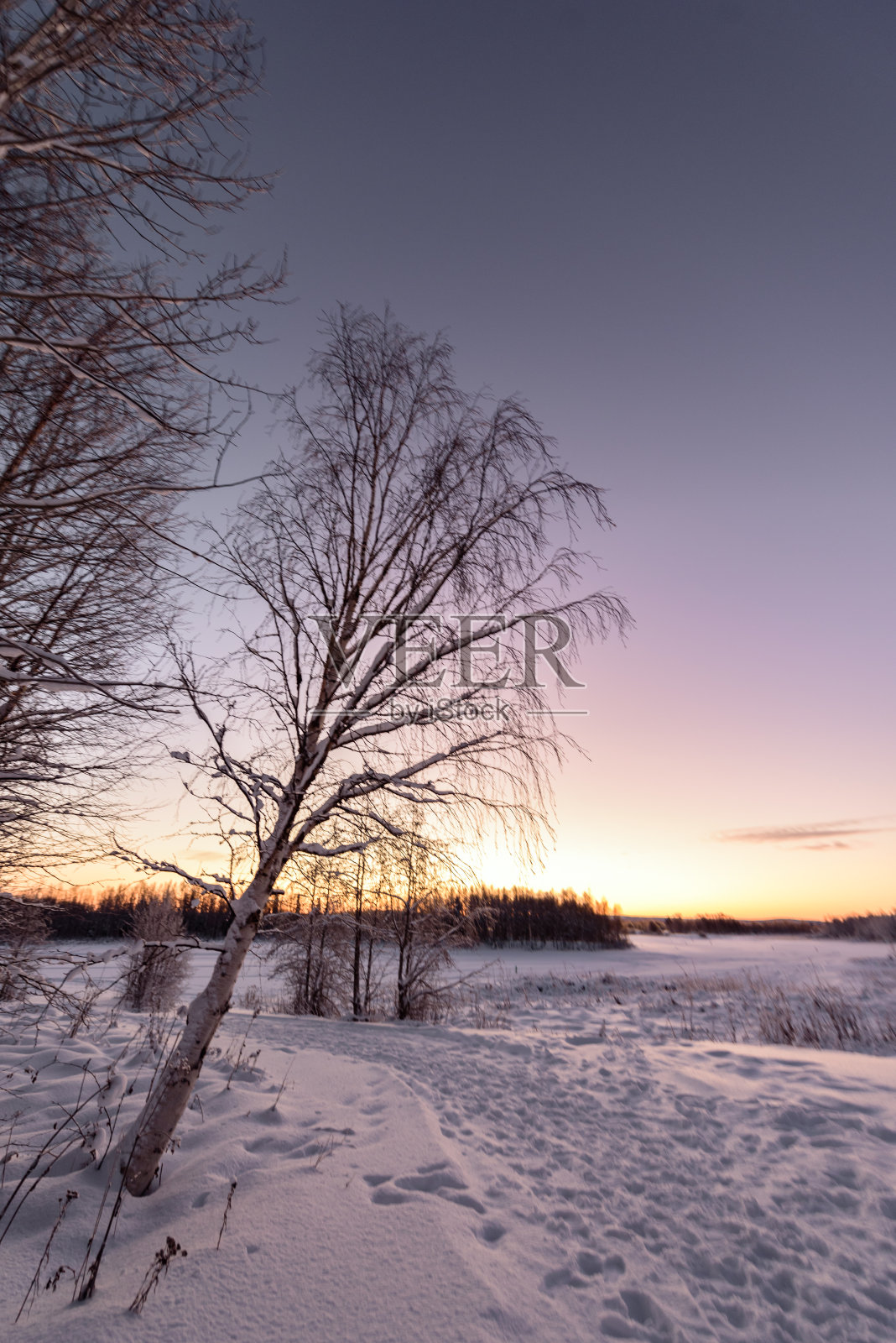 冬季,芬兰库库库鲁度假村的冰湖和森林覆盖着厚厚的积雪和美丽的蓝天。照片摄影图片