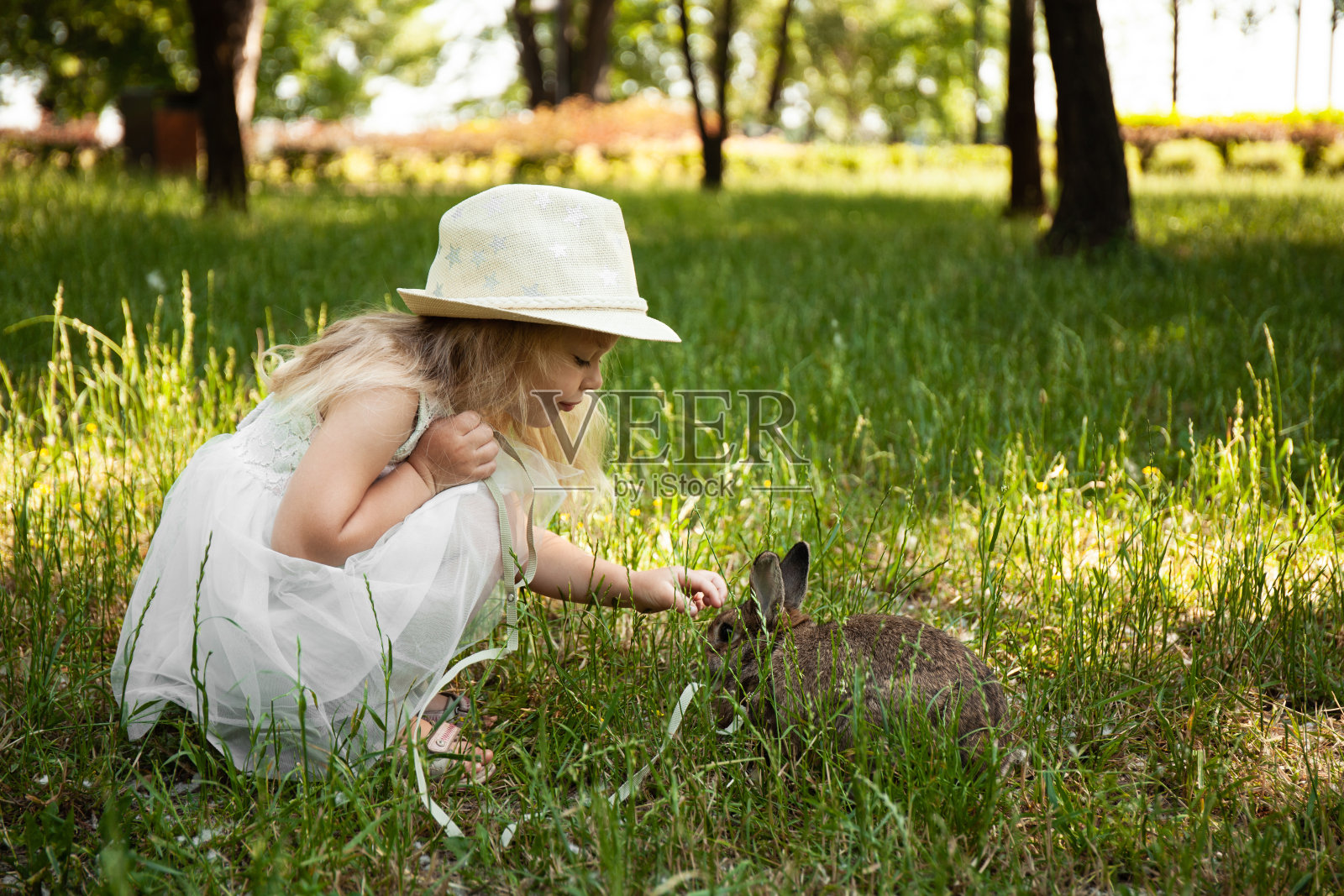 可爱的小女孩遛着宠物兔子,照顾着和动物生活在一起。童年快乐,热爱大自然照片摄影图片