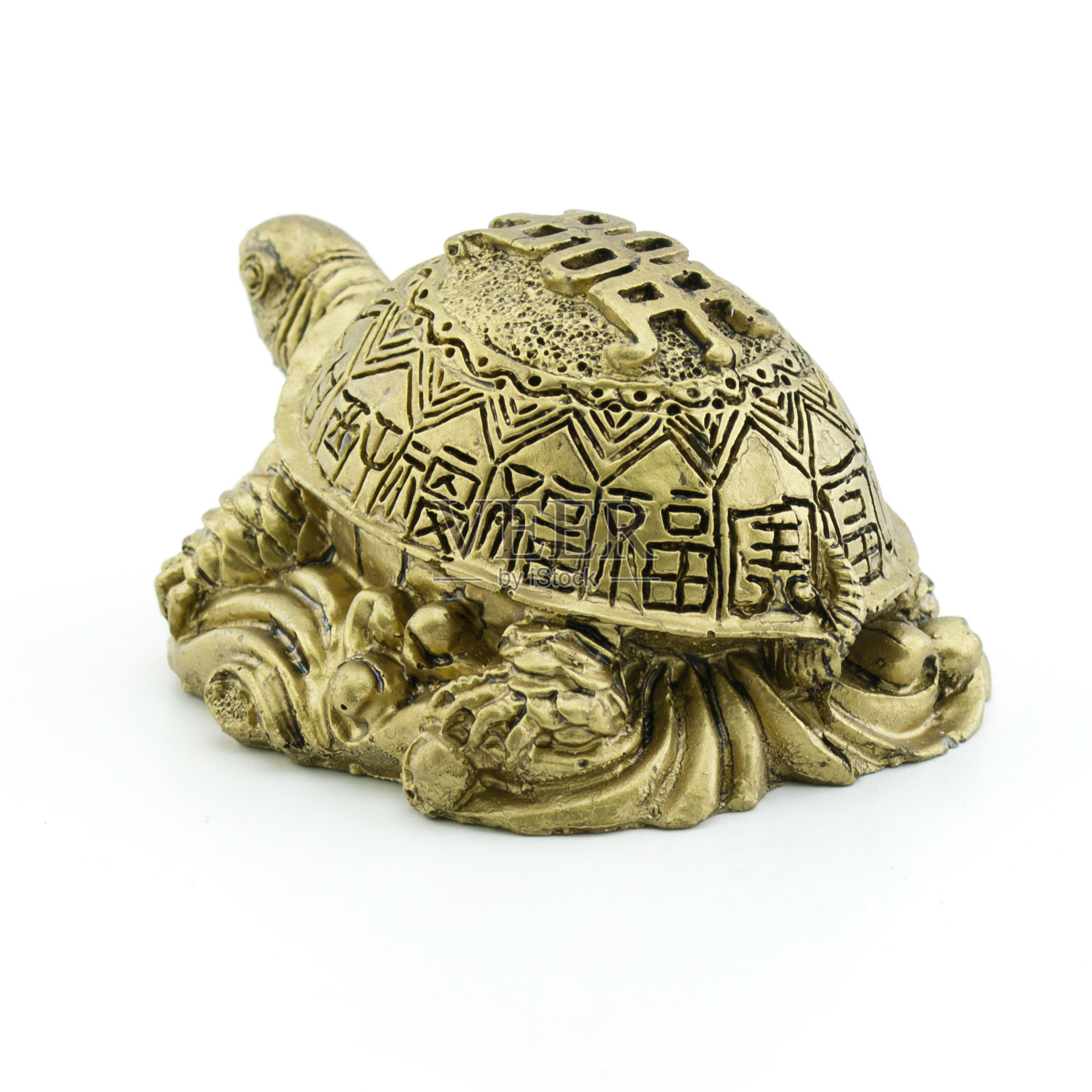 金色海龟孤立在白色背景上照片摄影图片