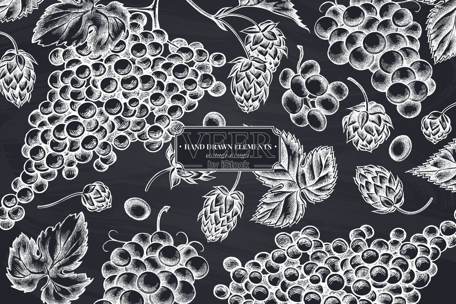 花设计与白垩葡萄,啤酒花插画图片素材