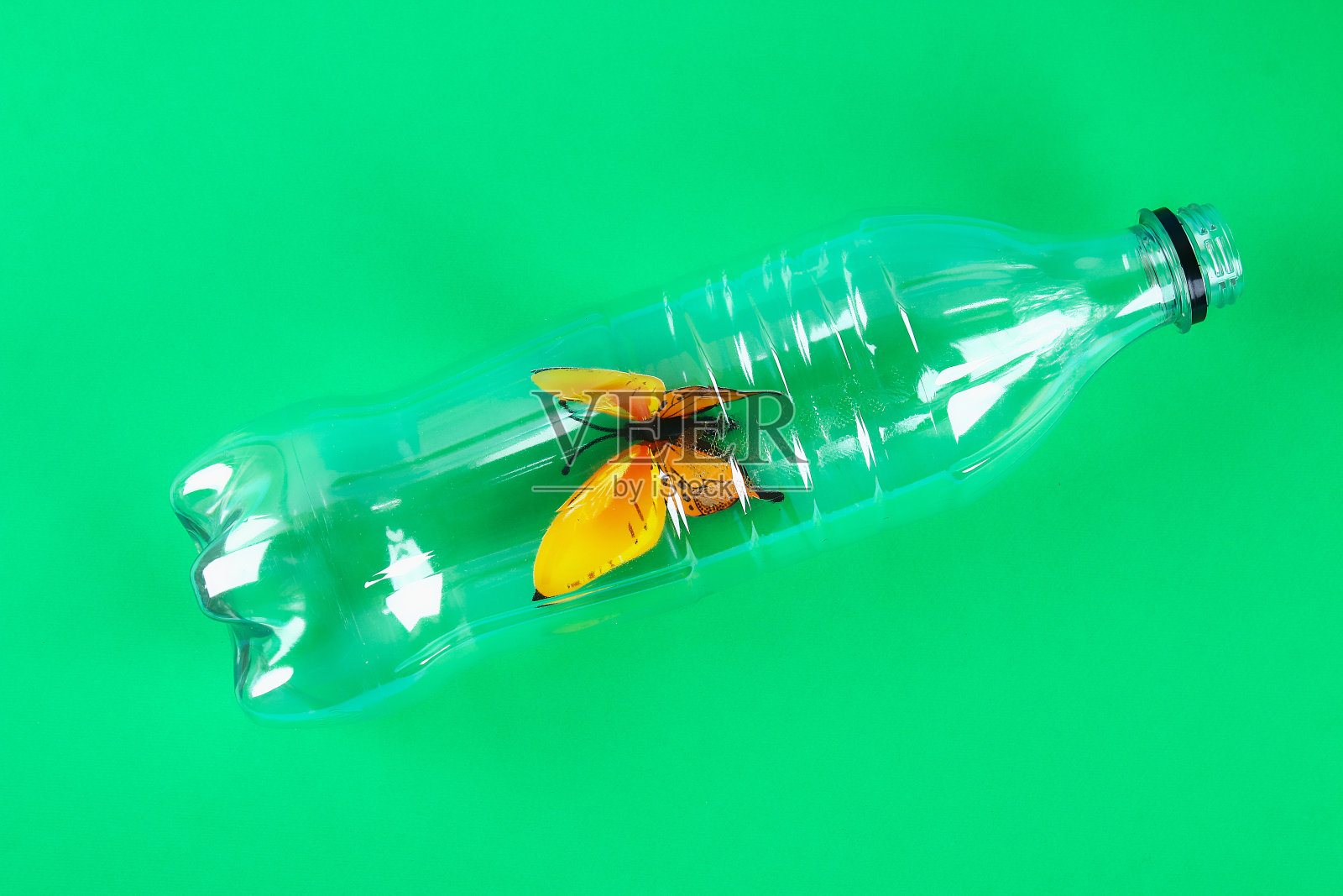 环境问题中的塑料污染。蝴蝶塑料瓶。“零浪费”。生态照片摄影图片