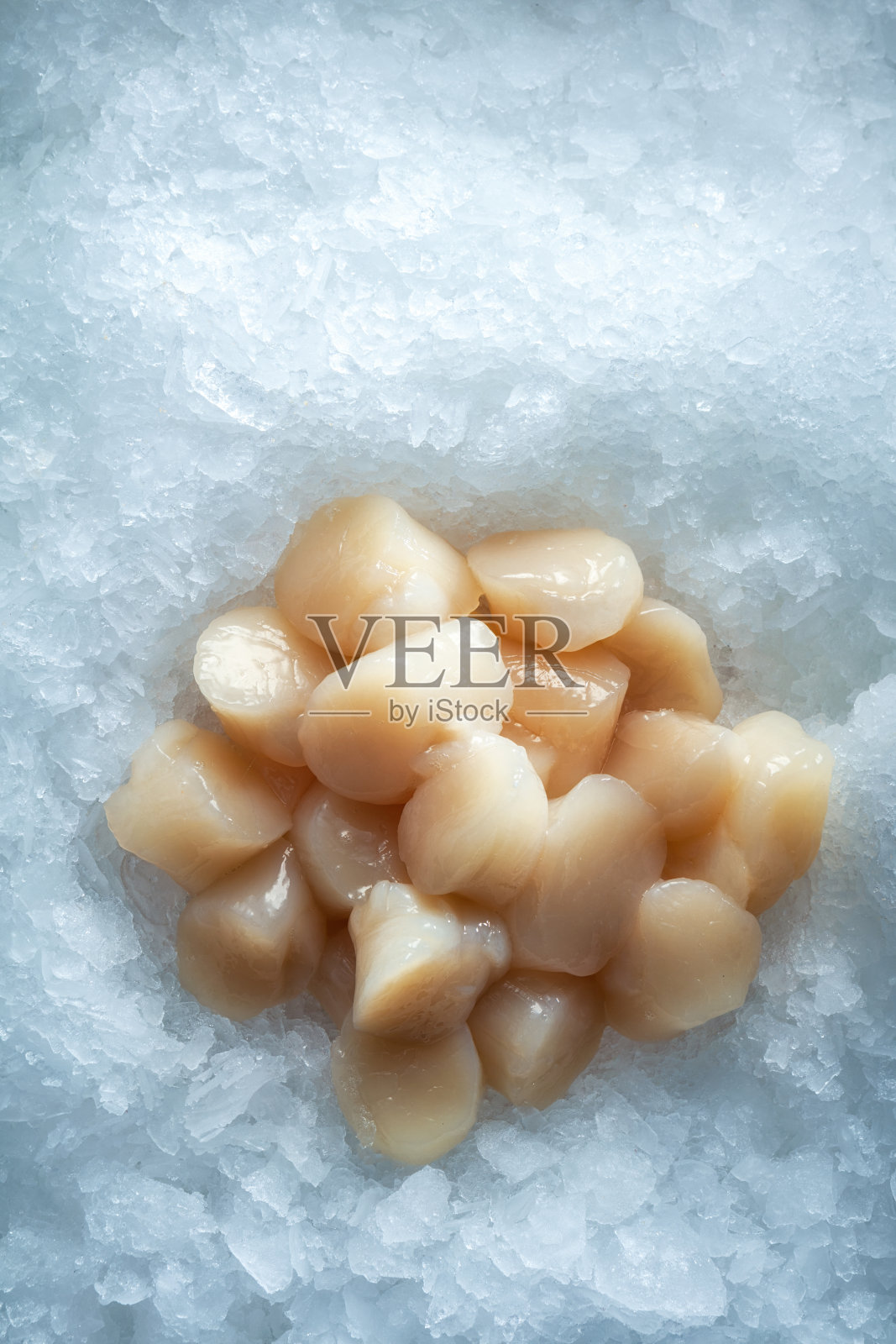 海的美味佳肴。新鲜的海鲜。扇贝在冰上。照片摄影图片