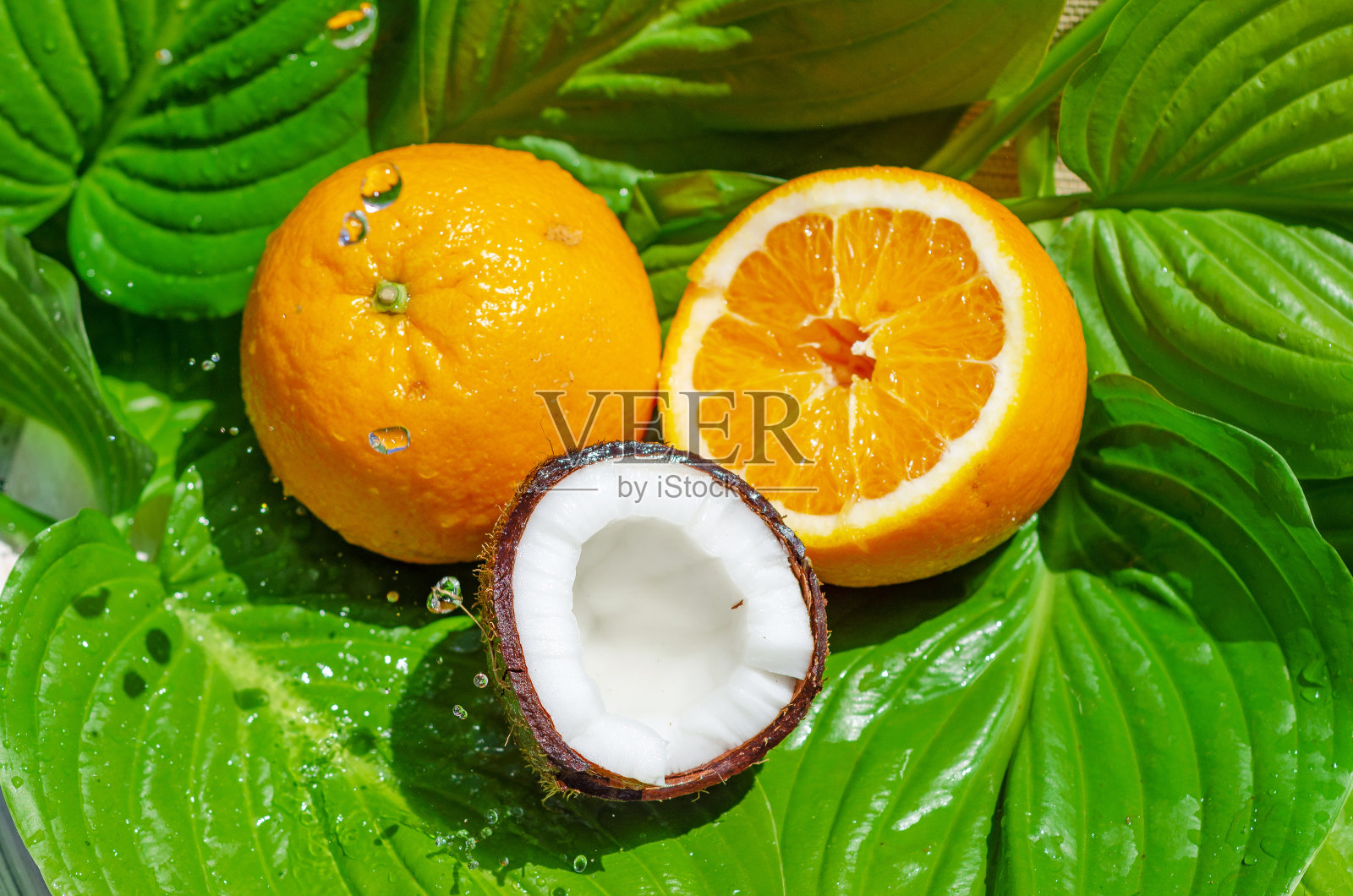 绿叶上的水果被水弄脏了。橙子、椰子。水果成分,健康食品,夏收,果汁照片摄影图片