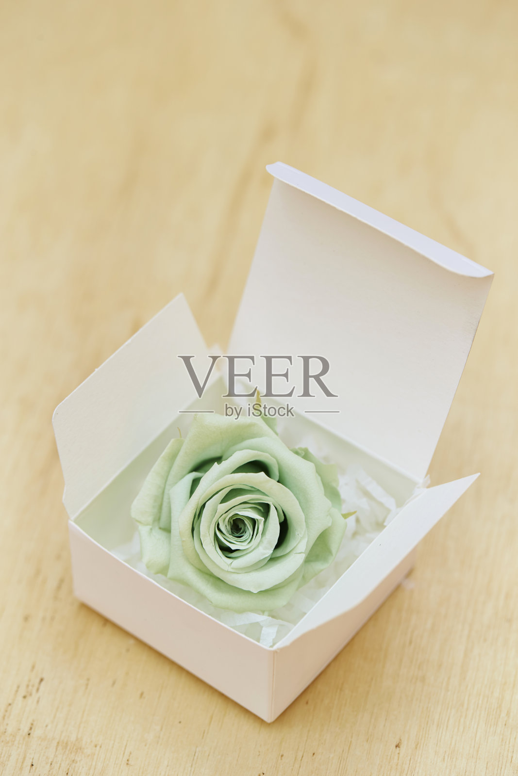 淡颜色的玫瑰照片摄影图片