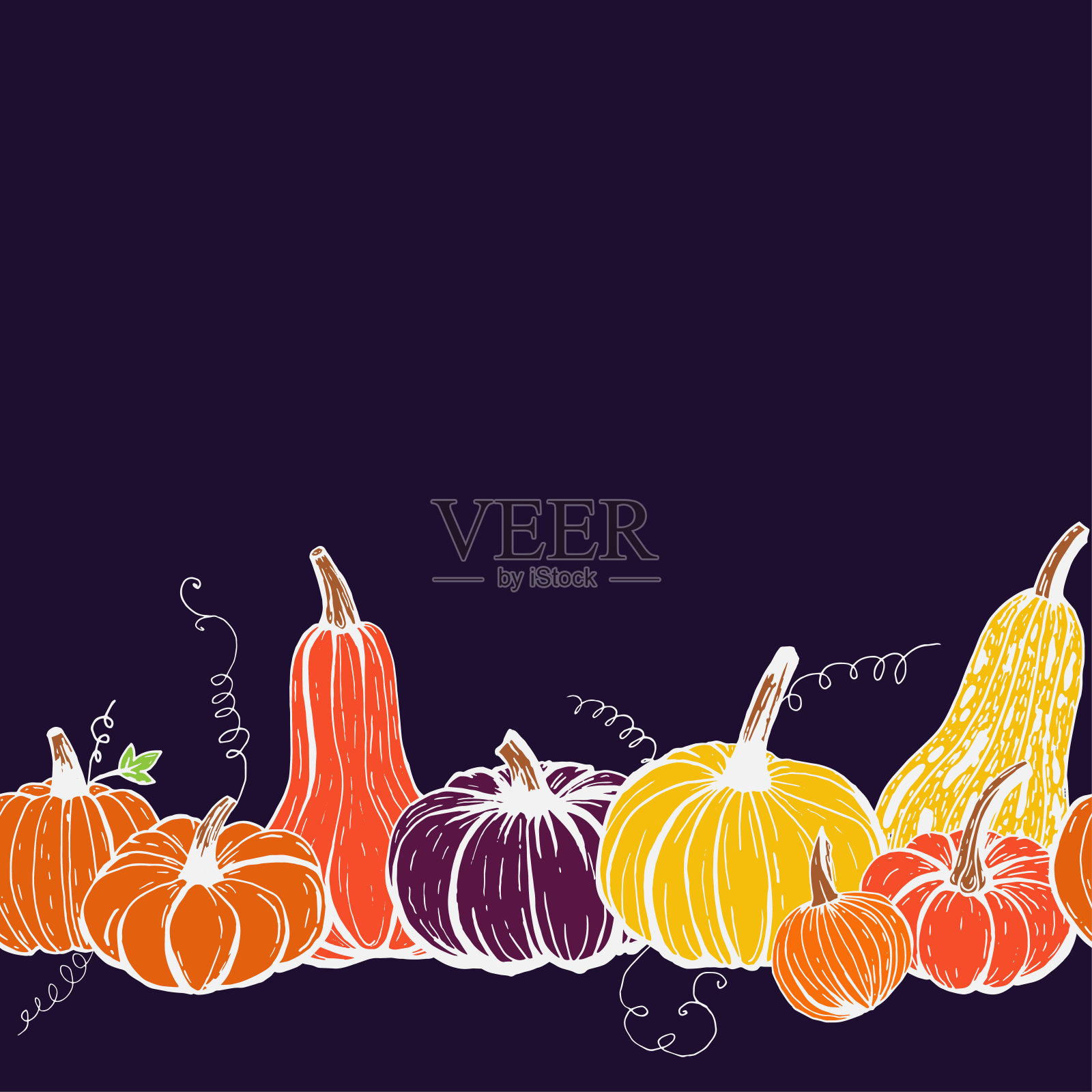 不同种类的秋季南瓜的无缝边框图案在黑暗的背景上。插画图片素材