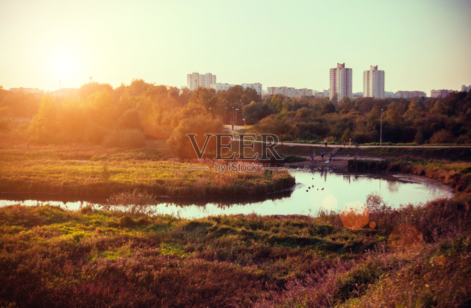 秋天的日落景观与黄绿色的树木和河流。白俄罗斯明斯克的秋天公园。纯自然区域照片摄影图片
