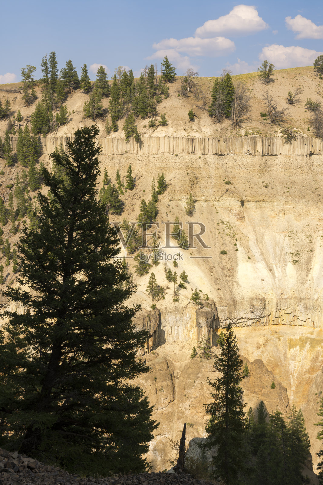 黄石国家公园拉马尔山谷的瀑布景观和树木照片摄影图片