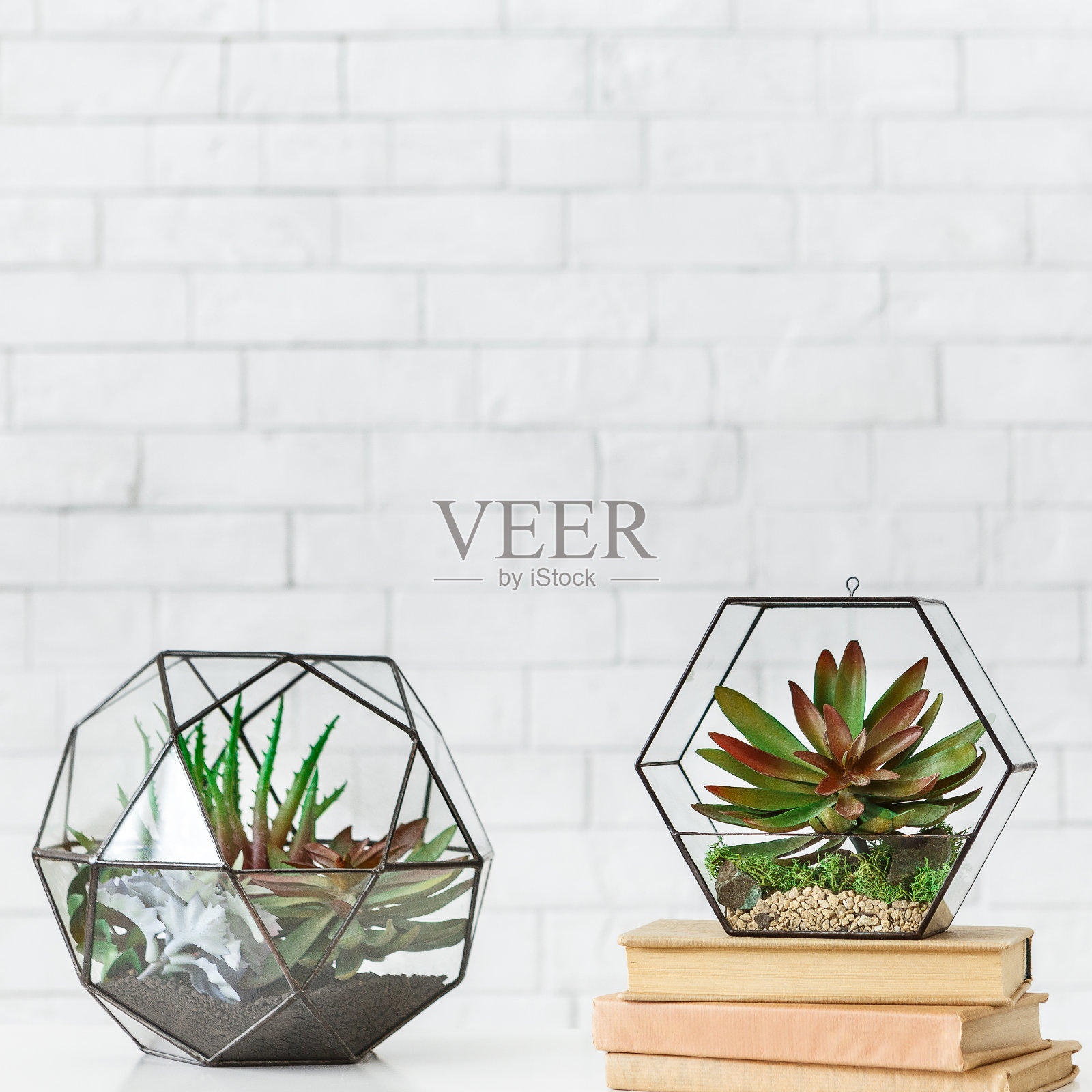 花坛和书架上的一堆书在白色的背景照片摄影图片