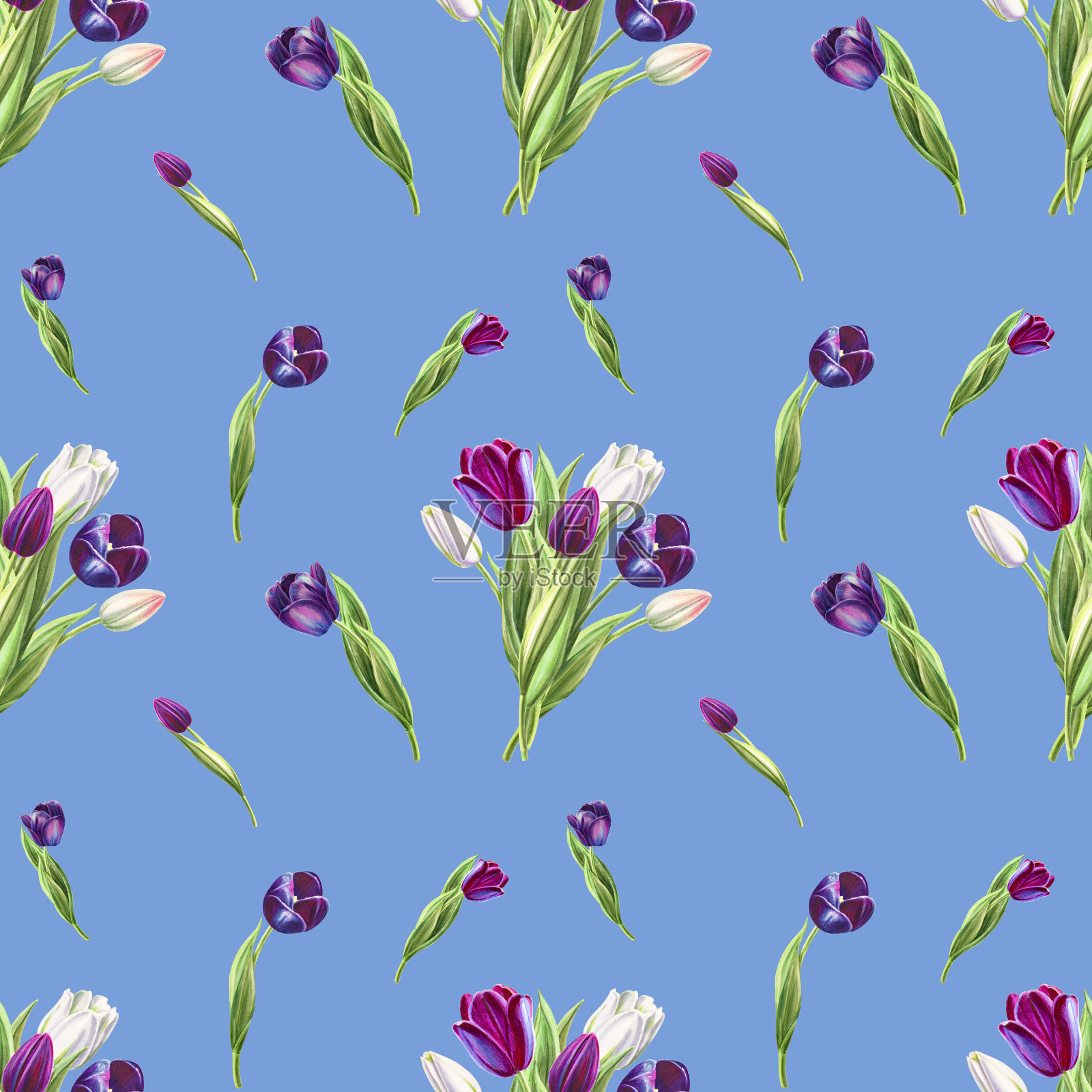 美丽的黑白郁金香无缝图案上的蓝色背景。花收集。标记图。水彩画。墙纸。插画图片素材