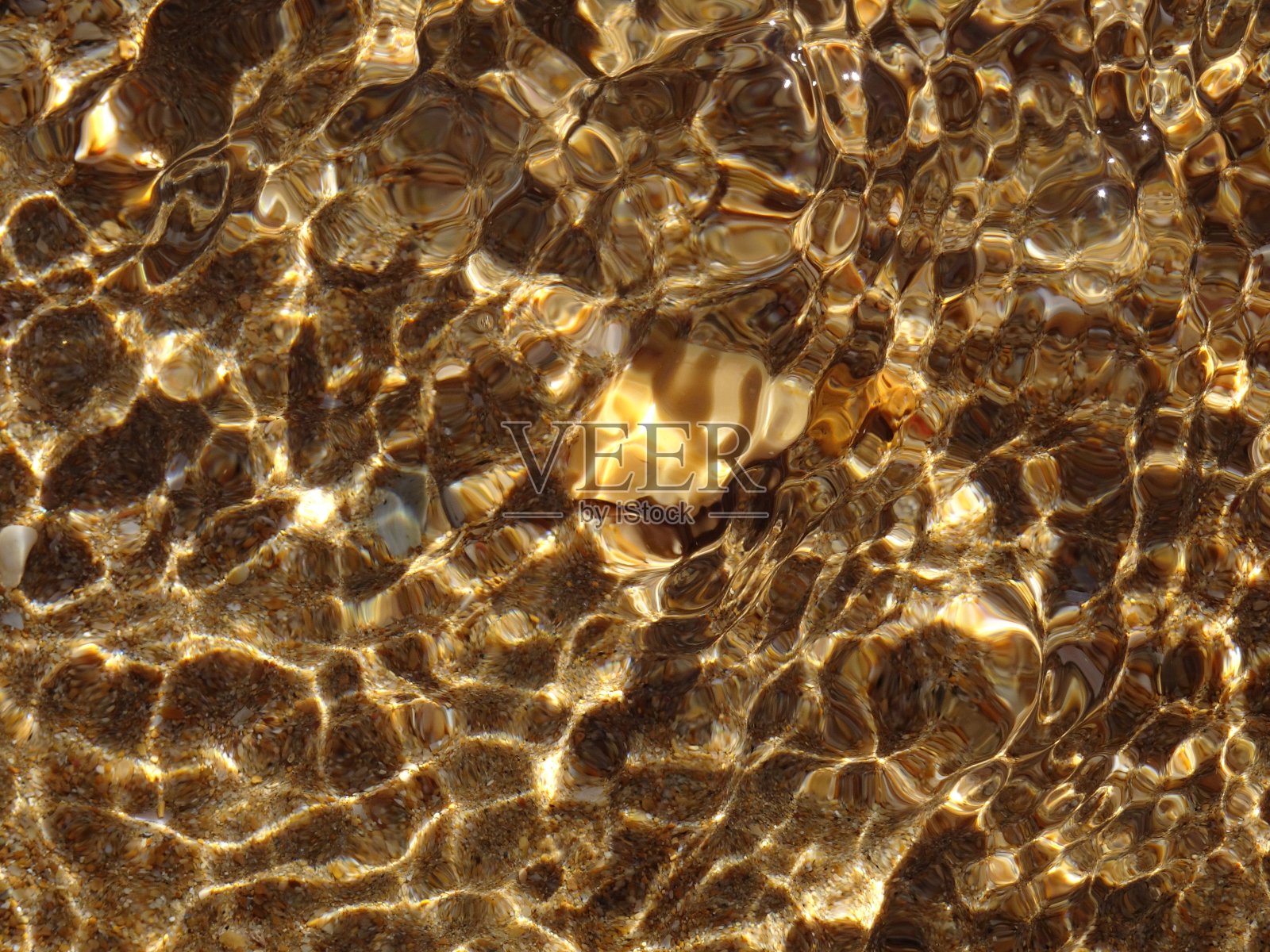 沙、贝壳、石头、珊瑚照片摄影图片