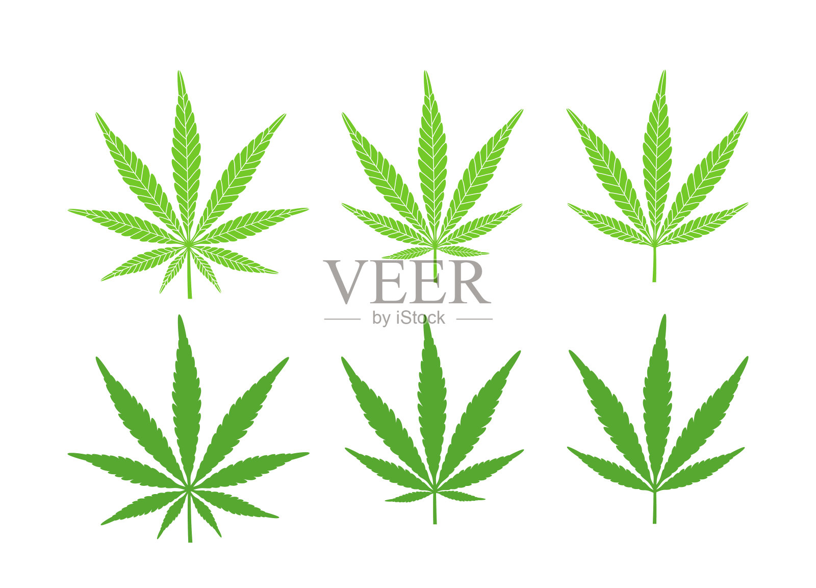 大麻大麻大麻标志。白色背景上孤立的大麻插画图片素材