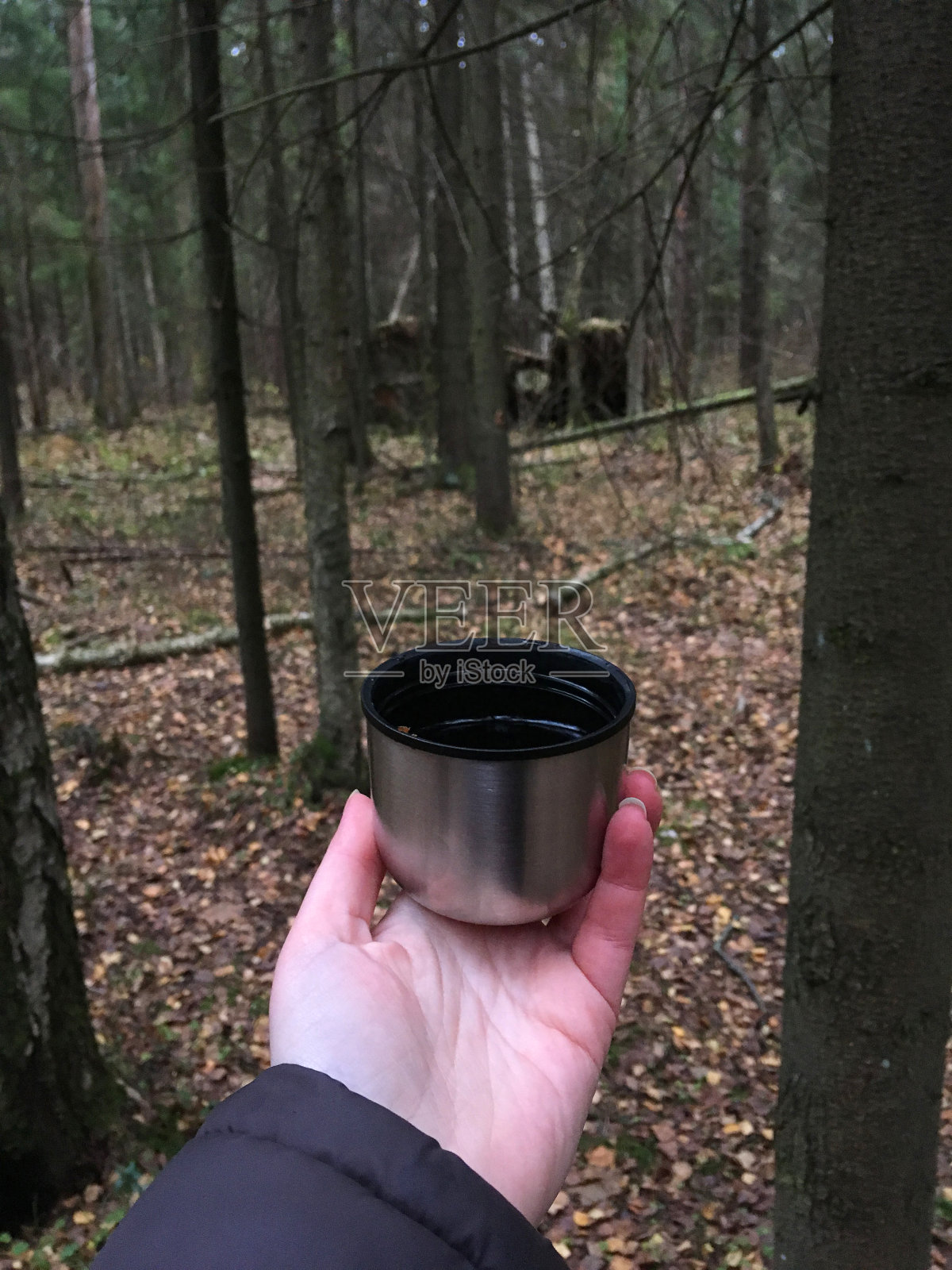 秋天森林里的热茶。照片摄影图片