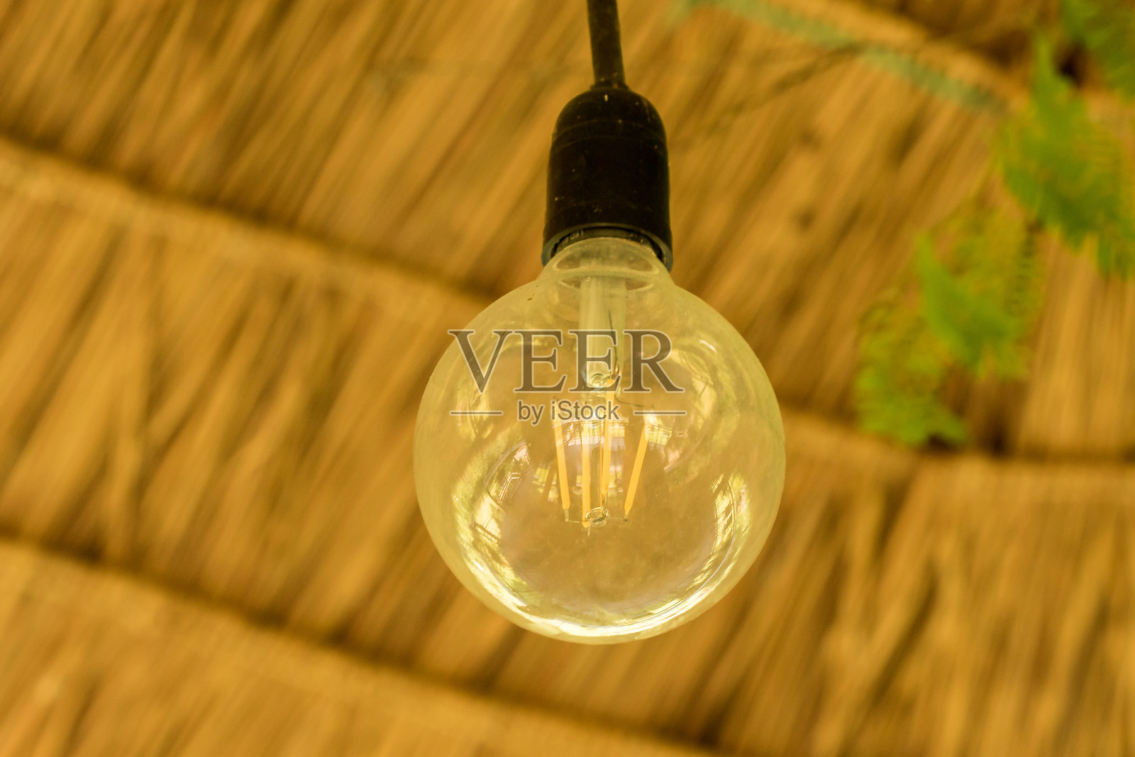 天花板上的圆形灯泡照片摄影图片