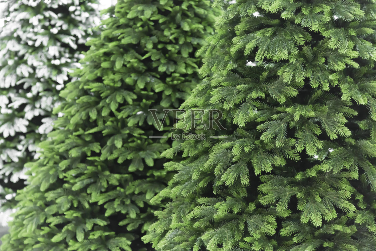 新年和圣诞节的装饰。节日背景用不同纹理装饰,可以选择由白雪覆盖的圣诞树树枝做成的白色和绿色照片摄影图片