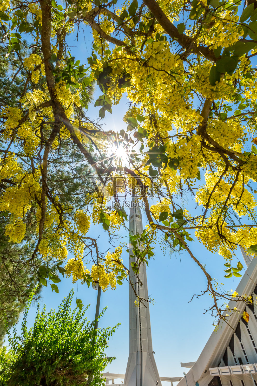 巴基斯坦伊斯兰堡的费萨尔清真寺。照片摄影图片