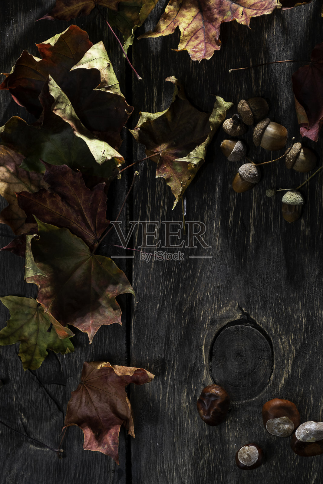 秋天的背景,质朴的风格照片摄影图片