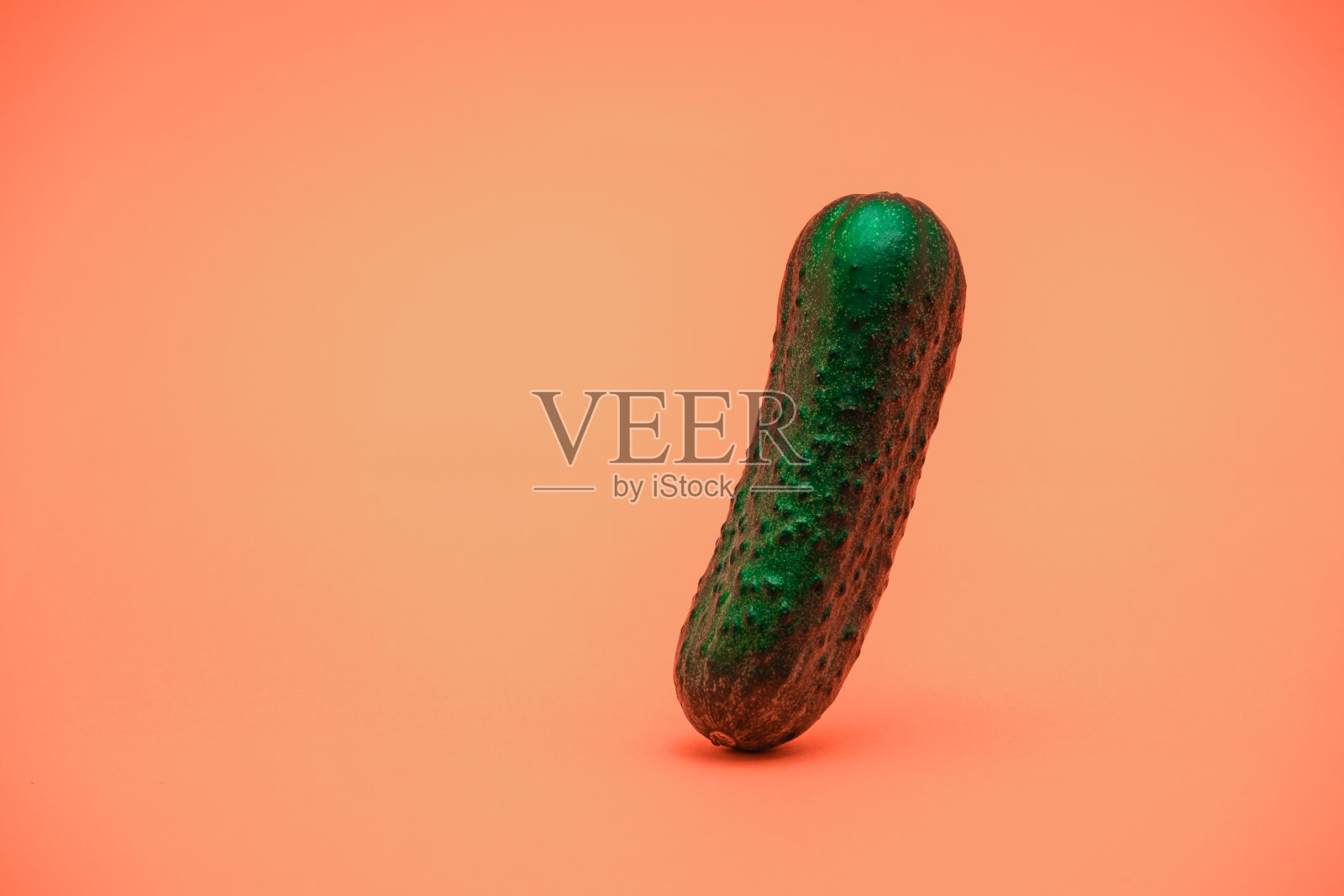 美丽的一根黄瓜活珊瑚背景。创造性的概念。照片摄影图片