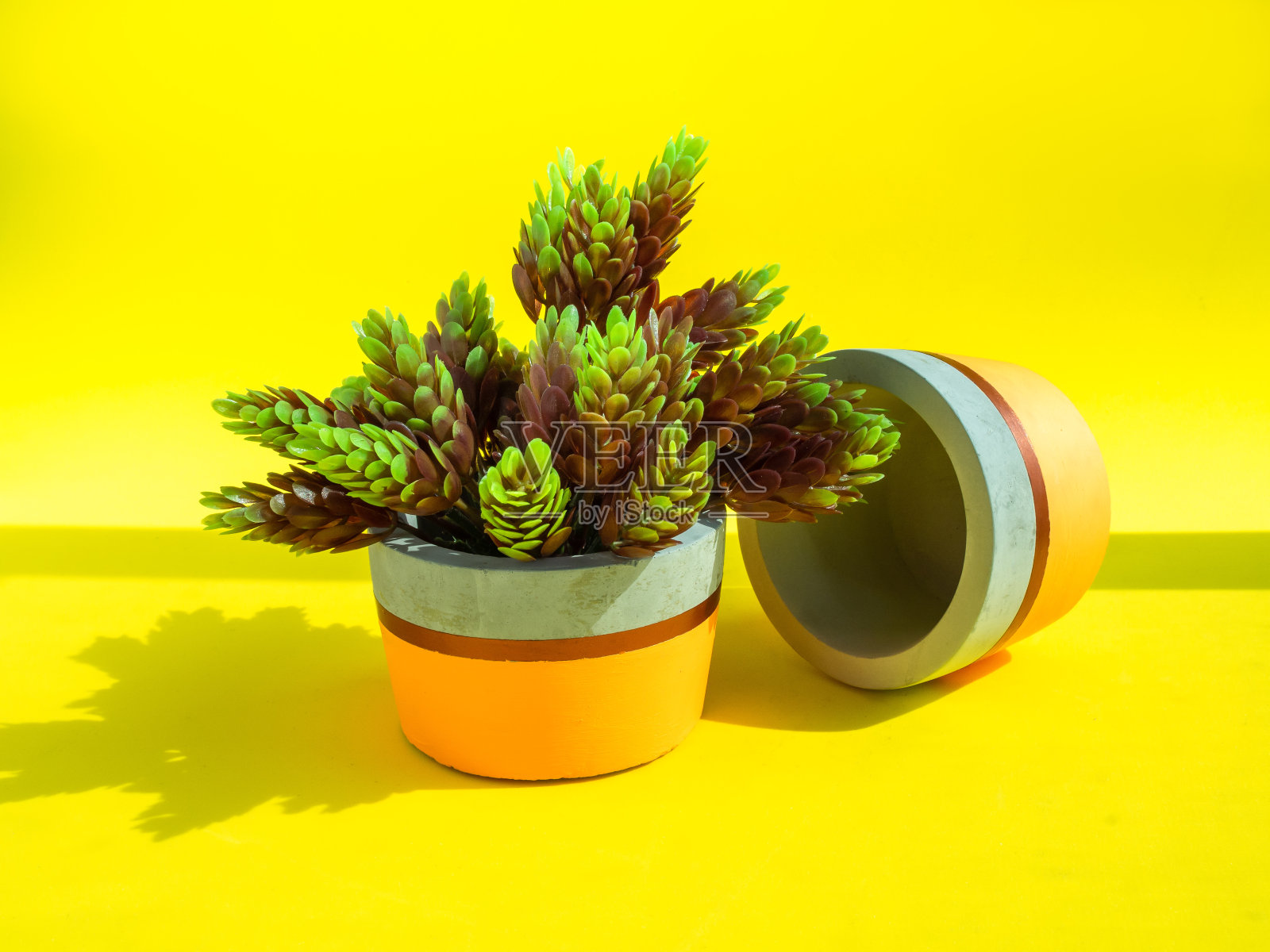 美丽的橙色油漆混凝土种植绿色多肉植物。手工水泥壶家居装饰。照片摄影图片