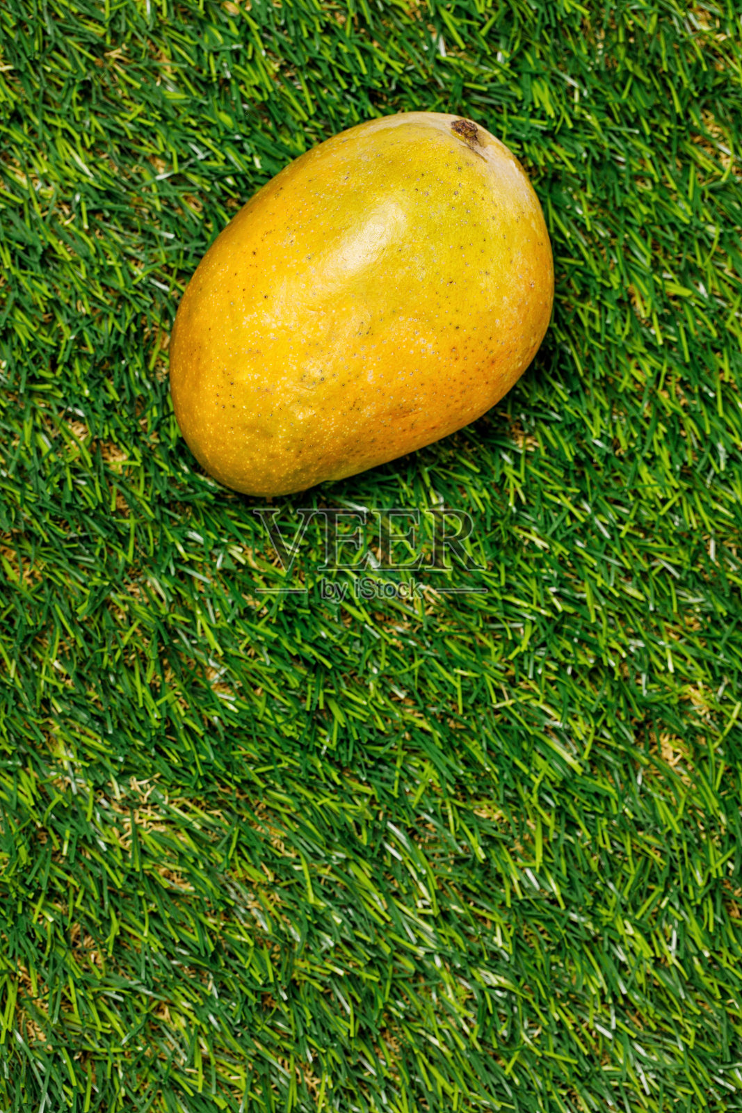 新鲜成熟的芒果在绿色的背景上照片摄影图片