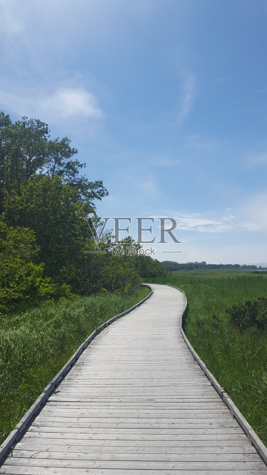 Rimouski海岸小径(图5)照片摄影图片