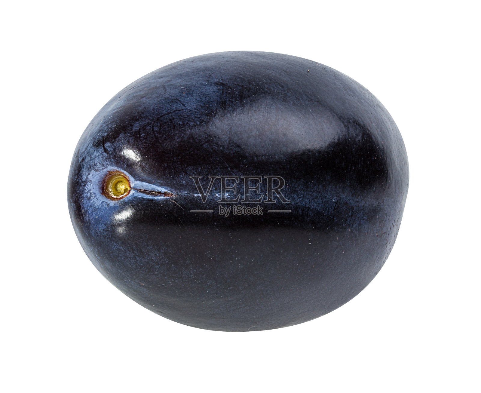 白色的李子照片摄影图片