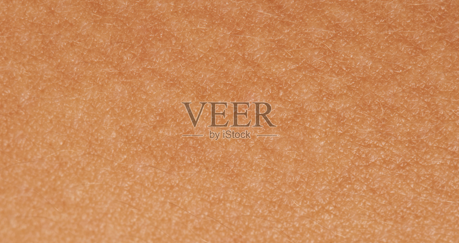 女性的皮肤纹理照片摄影图片