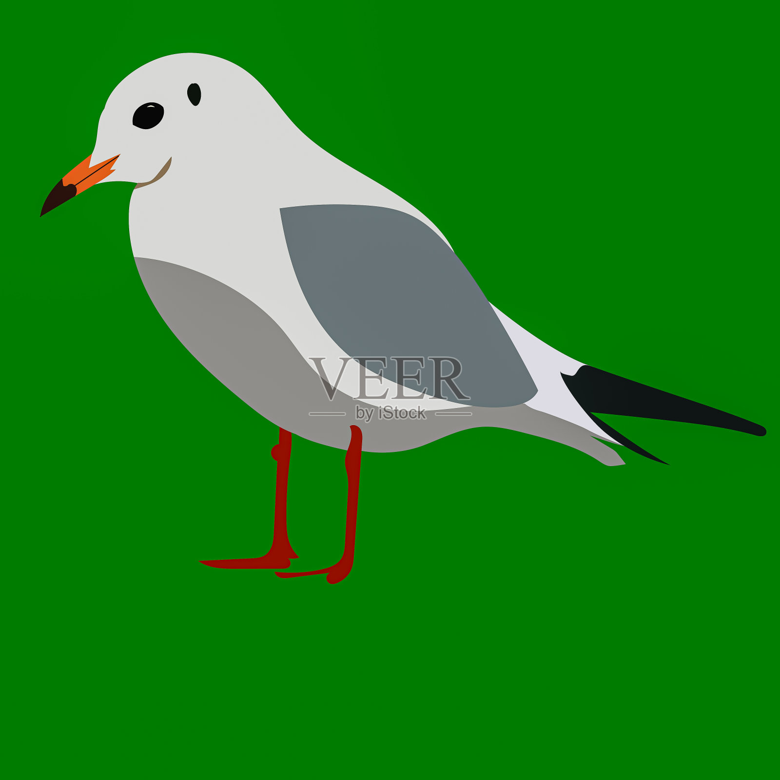 作为或图标使用的黑头鸥的图解插画图片素材