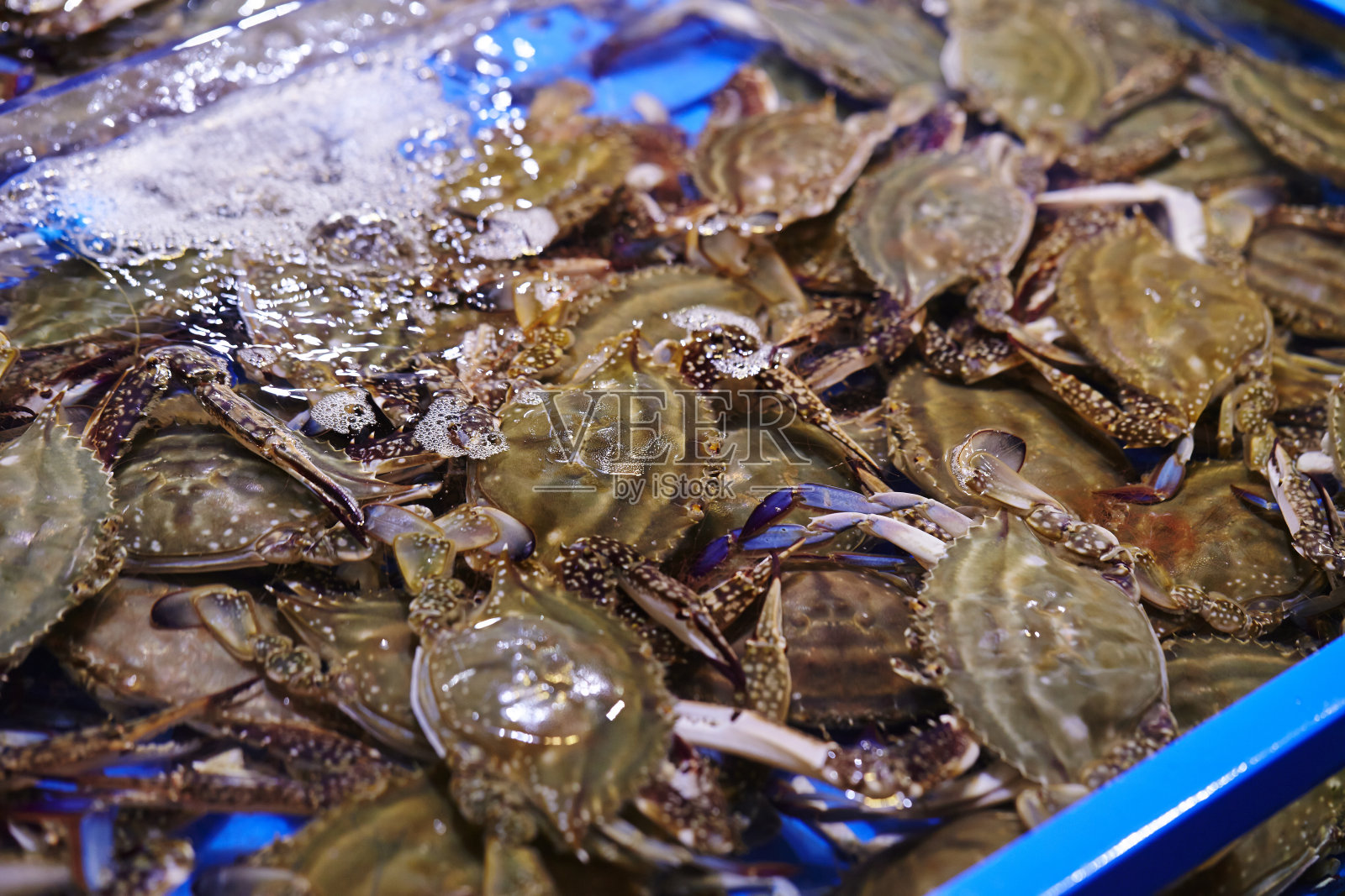 螃蟹照片摄影图片