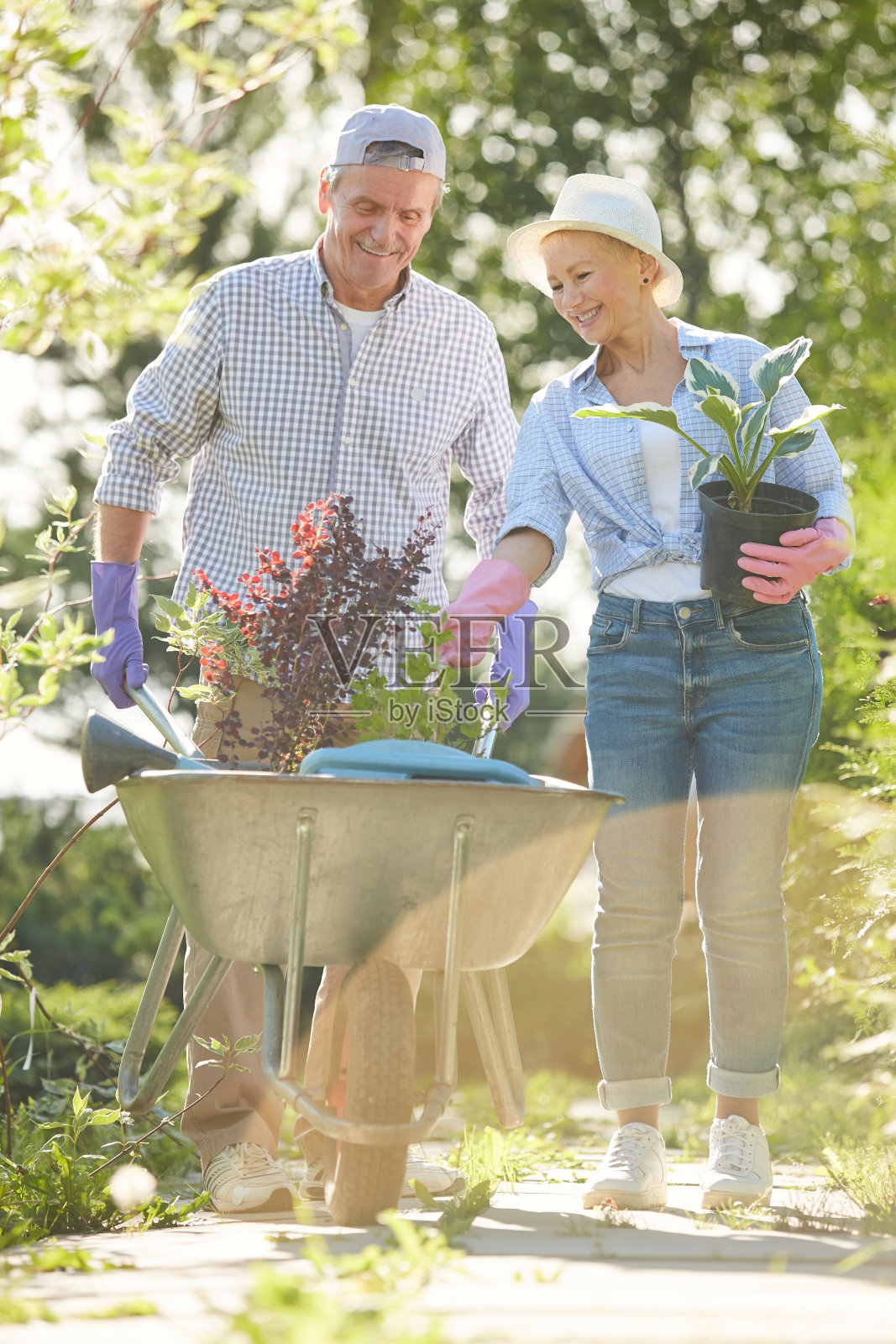 阳光下的两个园丁照片摄影图片