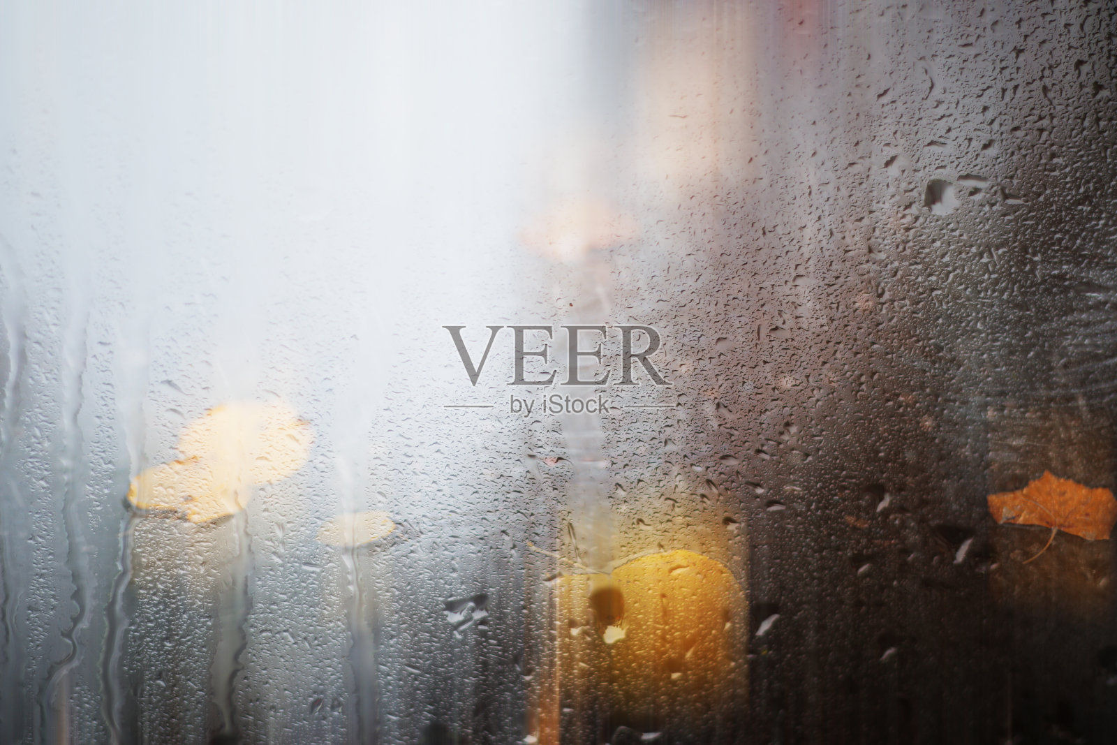 背景秋雨在公园里照片摄影图片