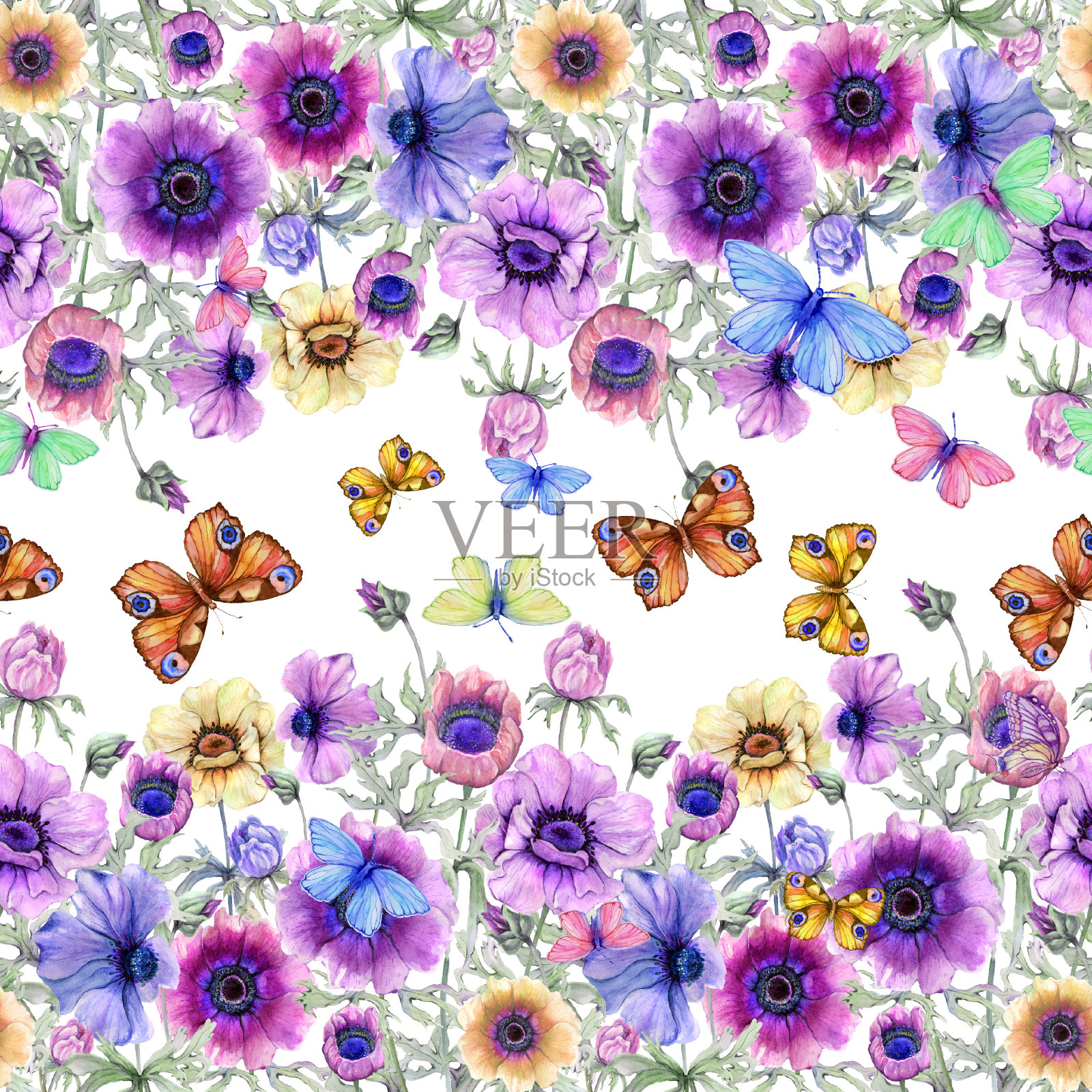 美丽多彩的银莲花花和飞舞的蝴蝶与绿色的叶子在白色的背景。无缝花图案,镶边。水彩画。手绘插图。插画图片素材