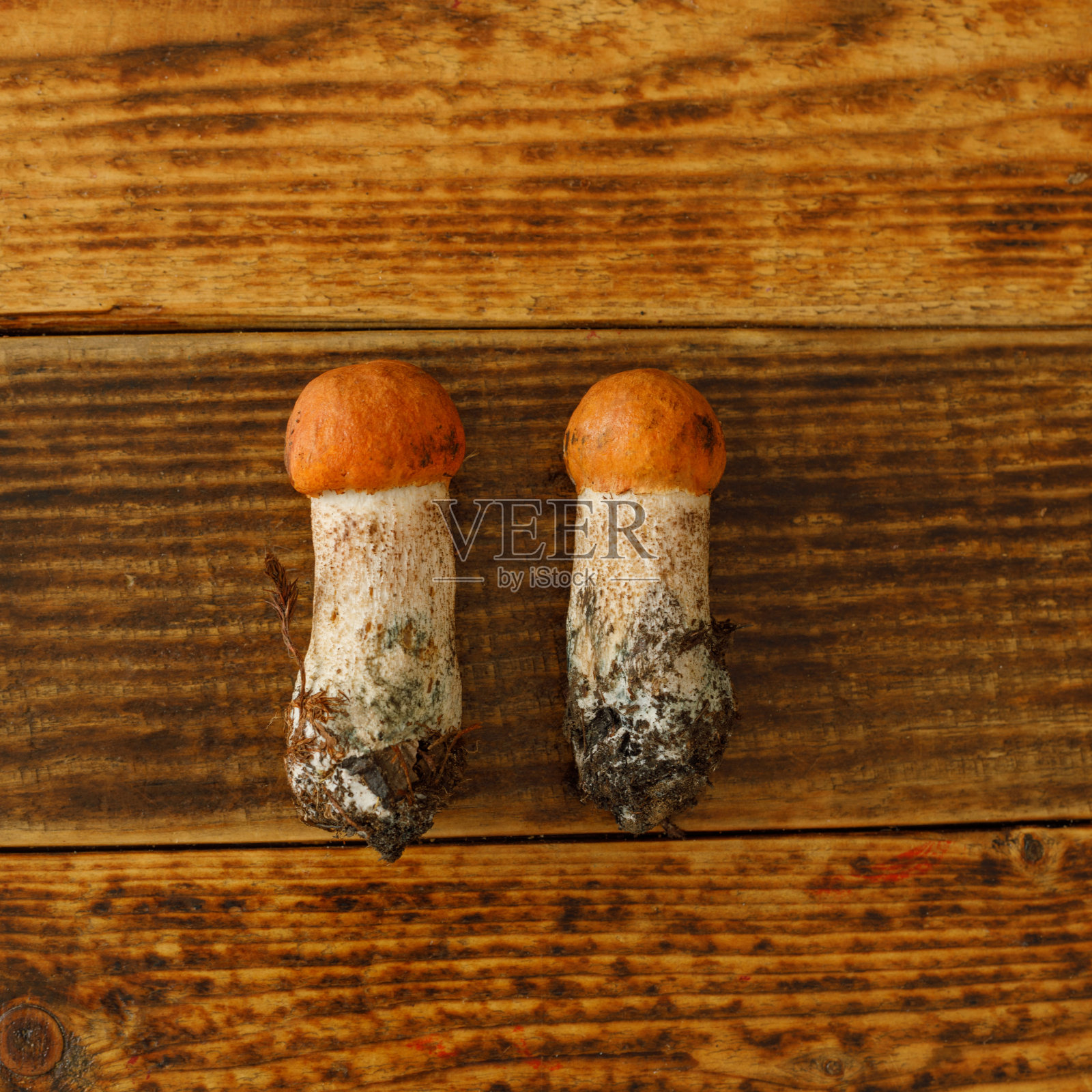 木质背景上摆放着两只红发蘑菇。平的。广场。照片摄影图片