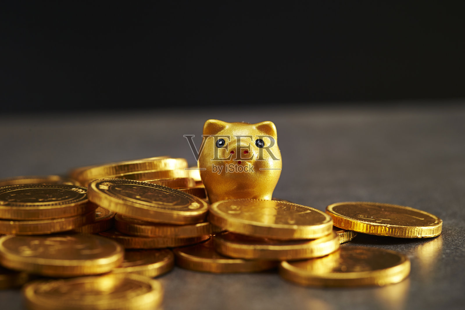 金猪币照片摄影图片